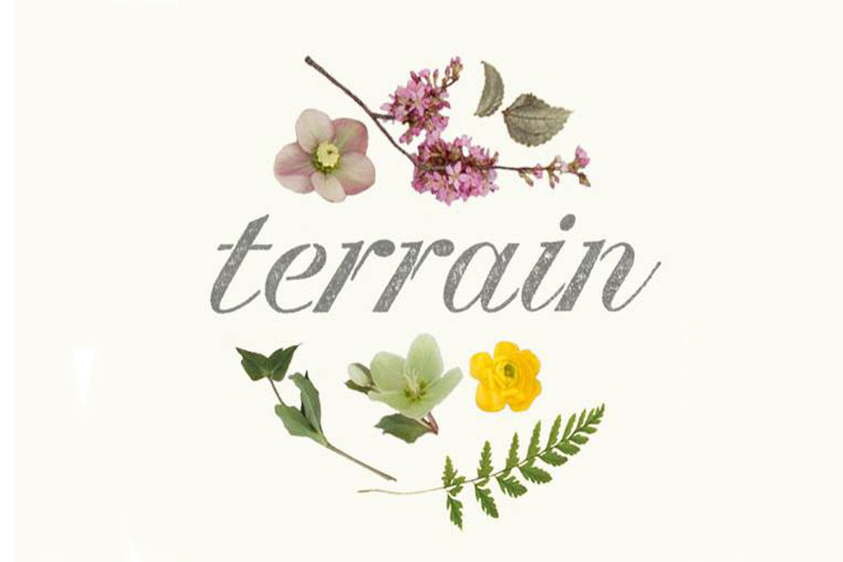 The word terrain in gray cursive is surrounded by five botanical elements: pink blossoms with leaves above, a pink flower to the left, a yellow flower and fern below, and a green flower with leaves to the lower left.