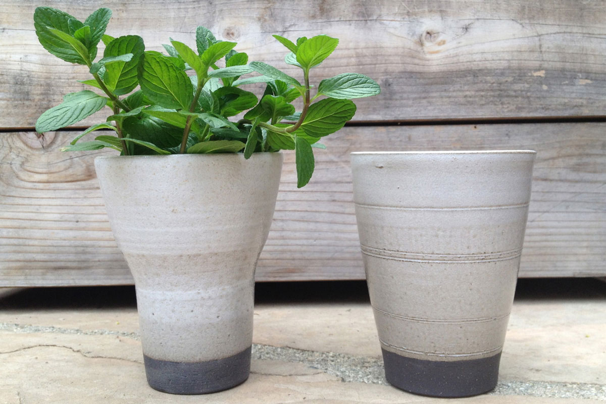 Two beige ceramic cups with a dark base sit on a stone surface; one cup contains a small mint plant, while the other is empty. A wooden background is visible behind them.