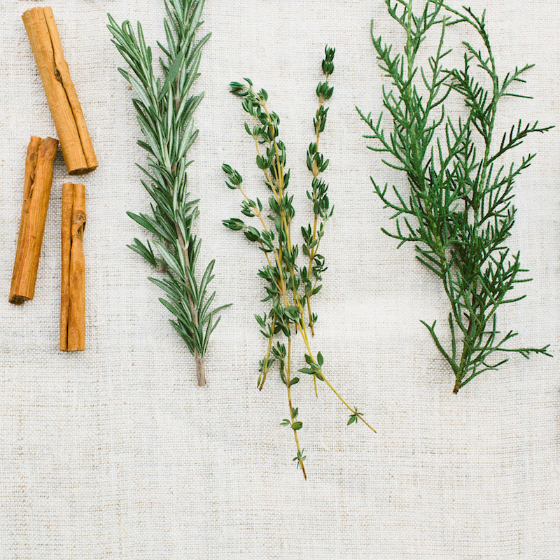 DIY: Holiday Fire Starters with Moon Canyon