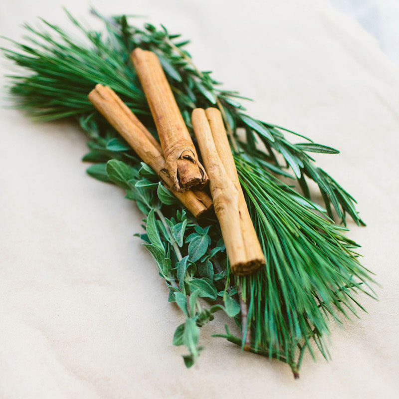 DIY: Holiday Fire Starters with Moon Canyon