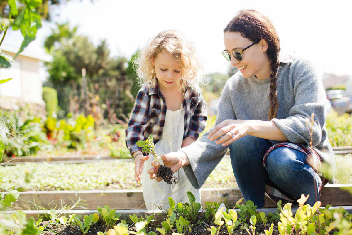 A woman and a young girl are gardening together, planting a small seedling in a raised garden bed on a sunny day. They are both smiling and surrounded by green plants.