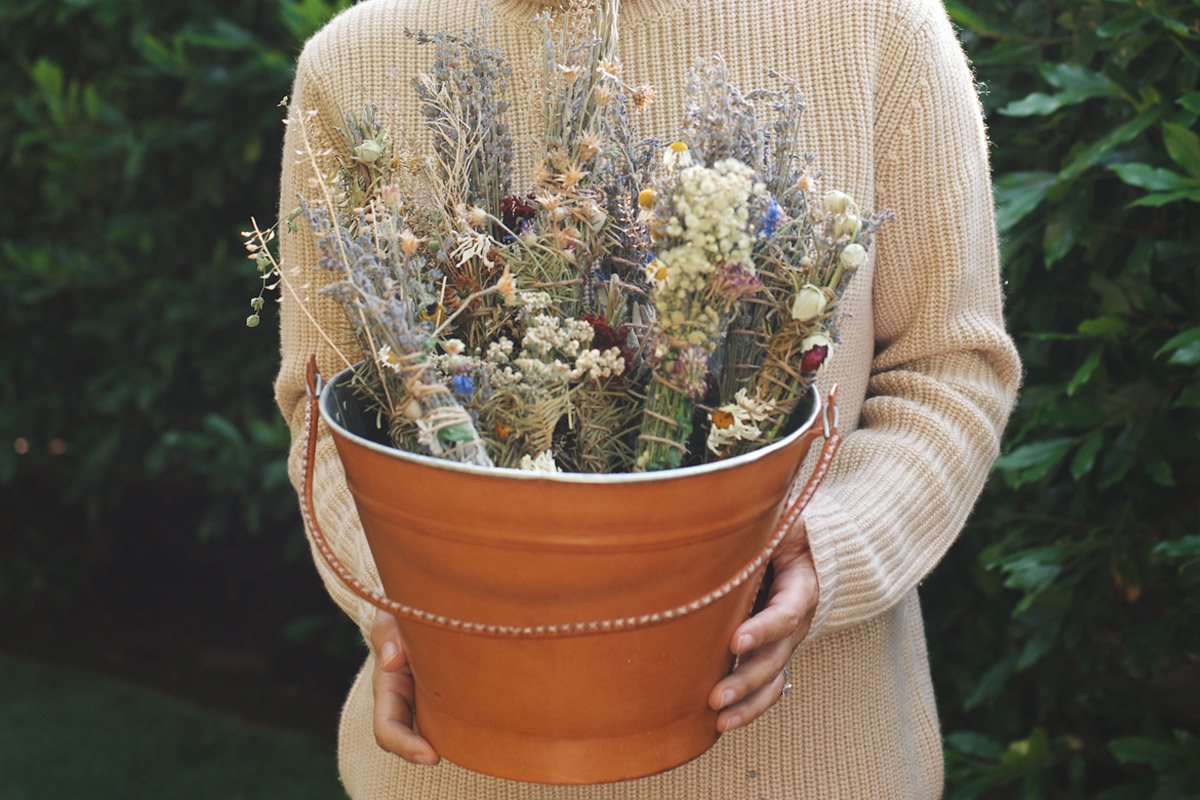 lavender-bundle