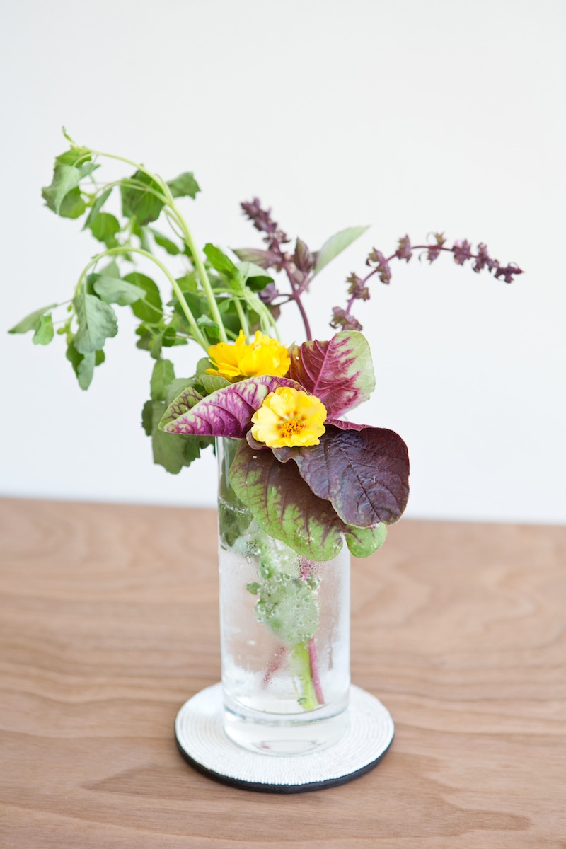 Garden Gin Fizz Cocktail Recipe Food & Drink Rip & Tan