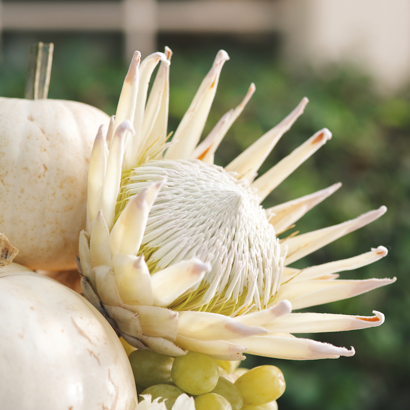 Floral Arrangements with Blume & Plume: A White & Green Autumnal Display