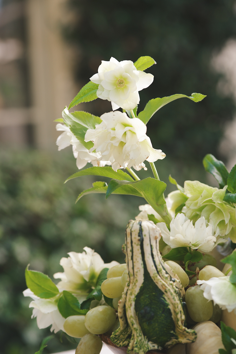 Floral Arrangements with Blume & Plume: A White & Green Autumnal Display