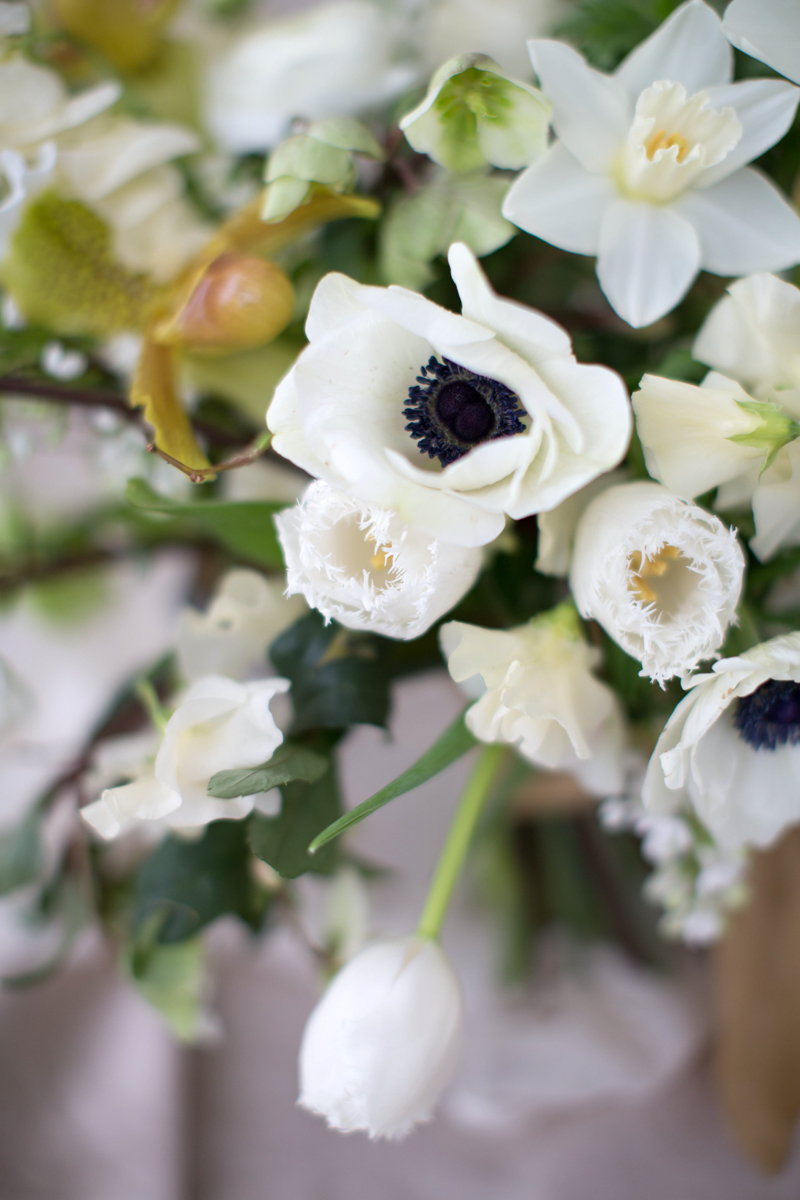 Floral Encyclopedia with Moon Canyon: A Subtle Spring Bounty
