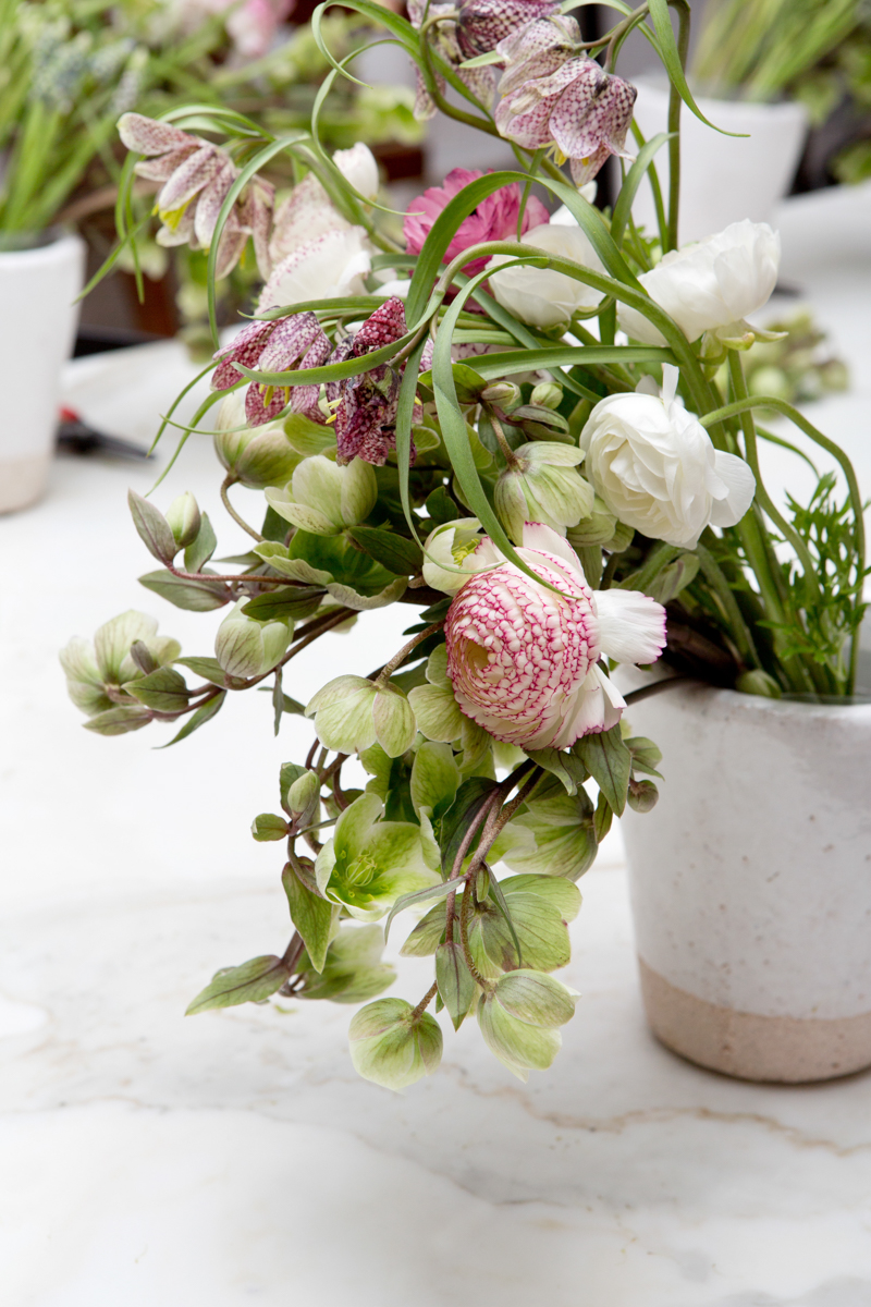 Spring Blooms A Floral with The Line NYC Style Rip & Tan