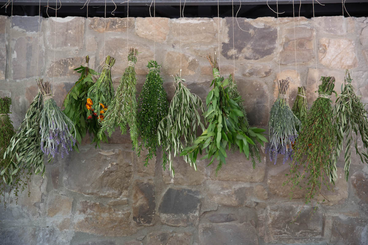For Your Guests: An Herb-Infused Olive Oil 7