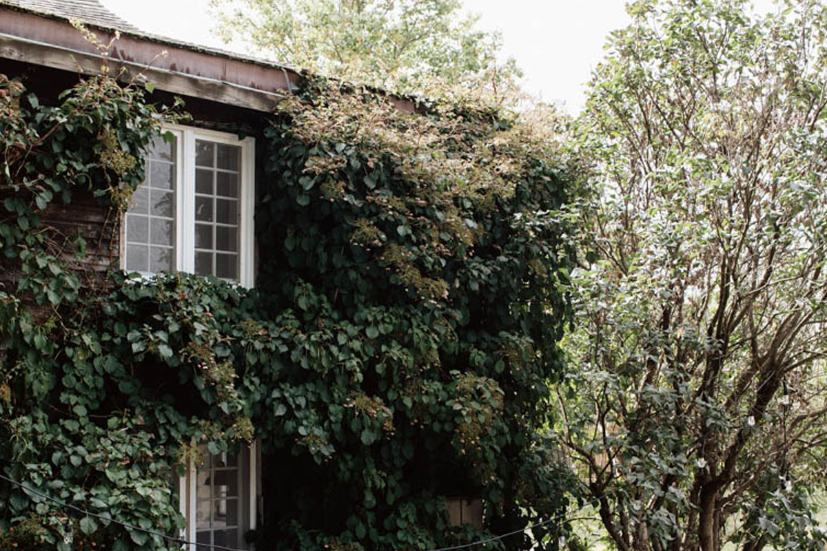 Inside Caroline Diani’s Hudson Valley Stone Farmhouse 10