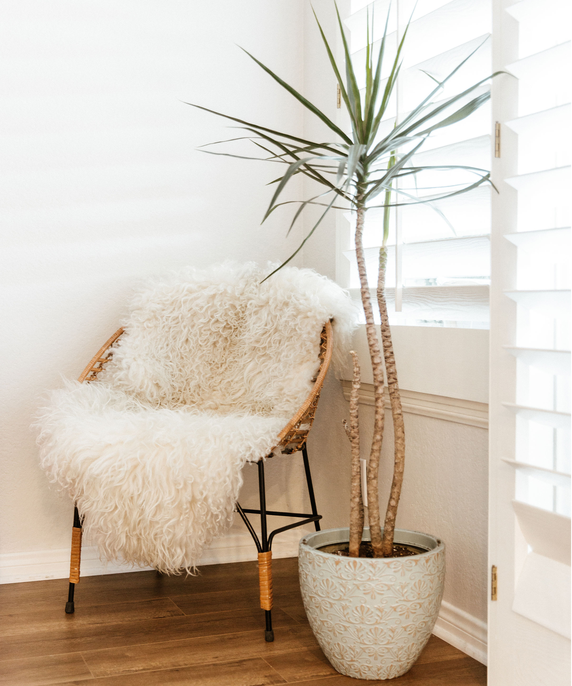 tylynn-nguyen-home-tour-jenni-kayne5