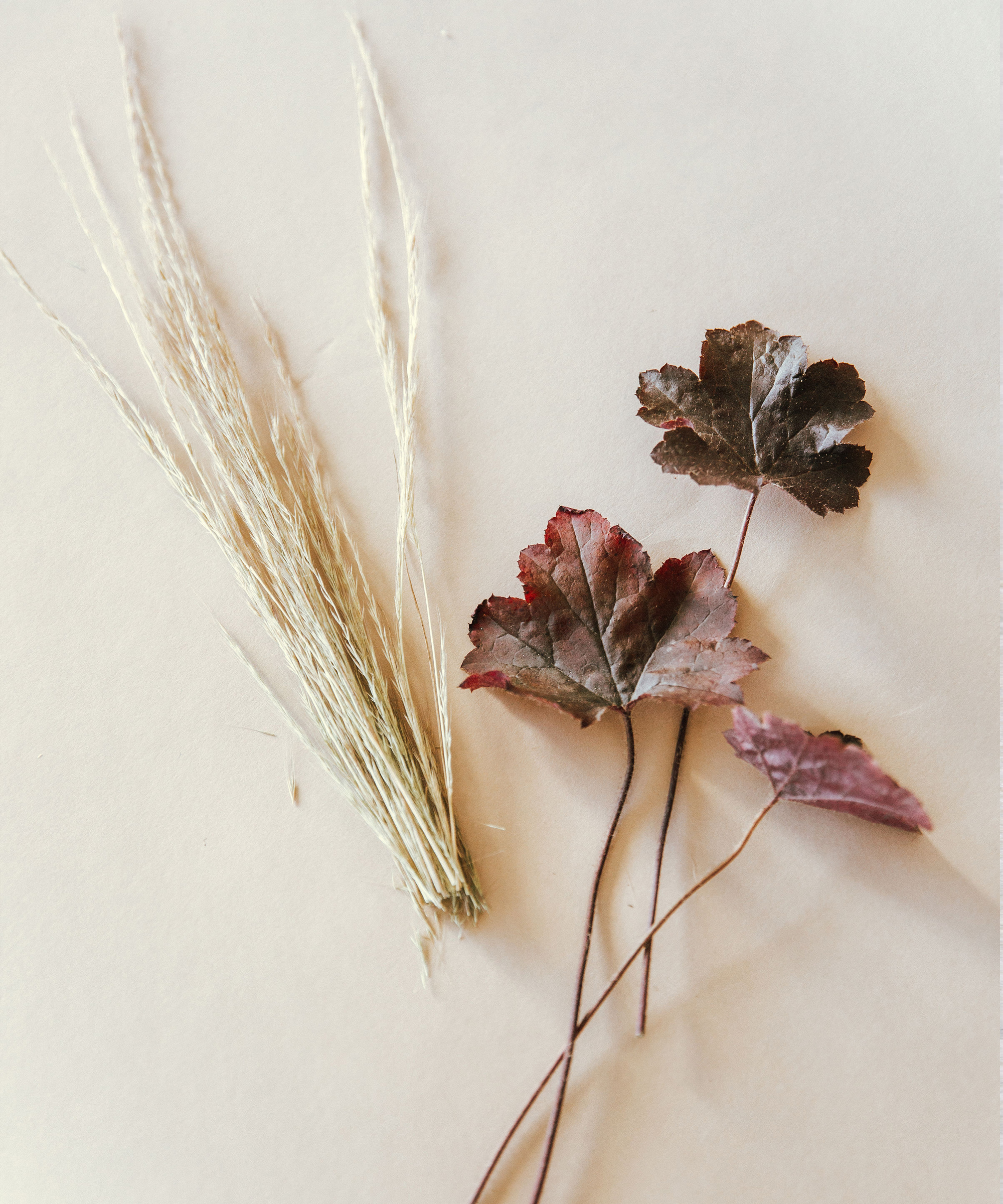 fall-floral-encyclopedia-moon-canyon6