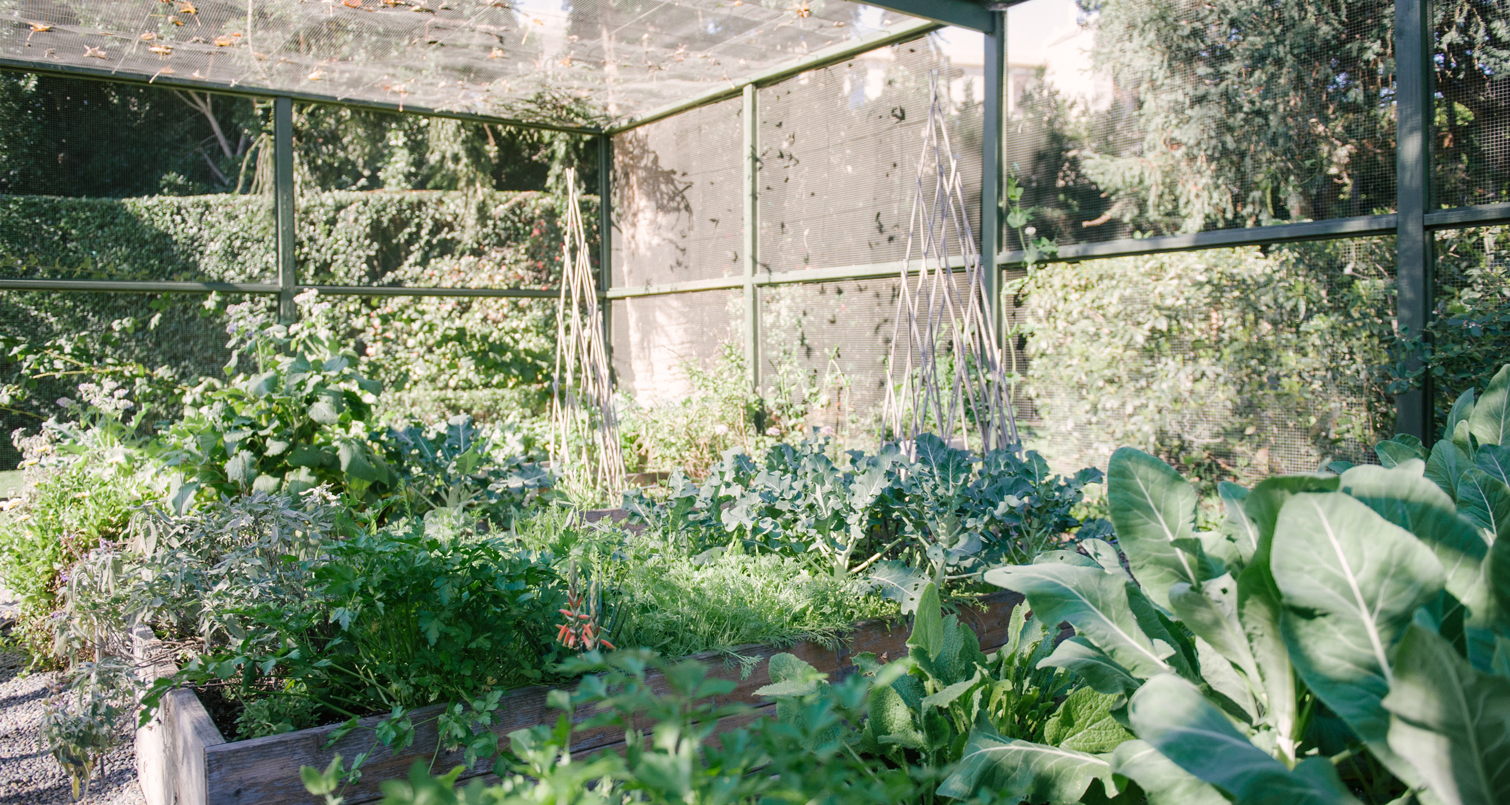 lauri-kranz-edible-gardens-jenni-kayne1