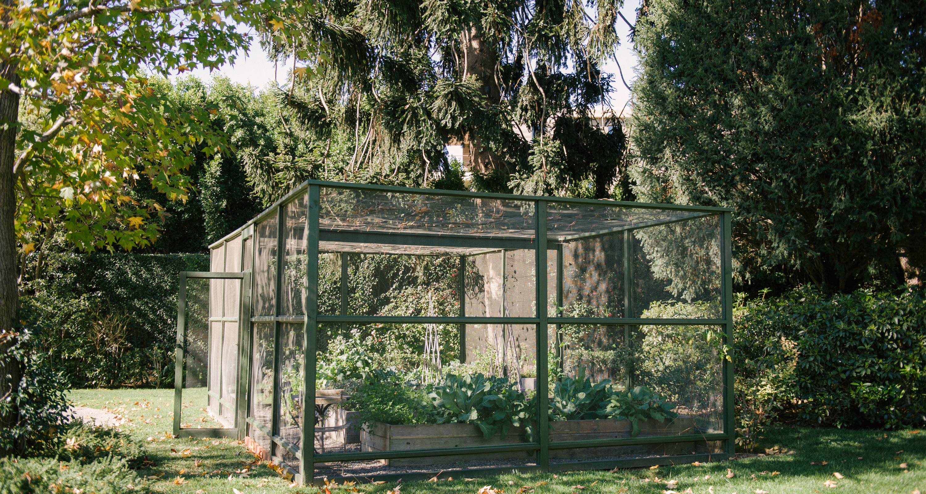 lauri-kranz-edible-gardens-jenni-kayne3