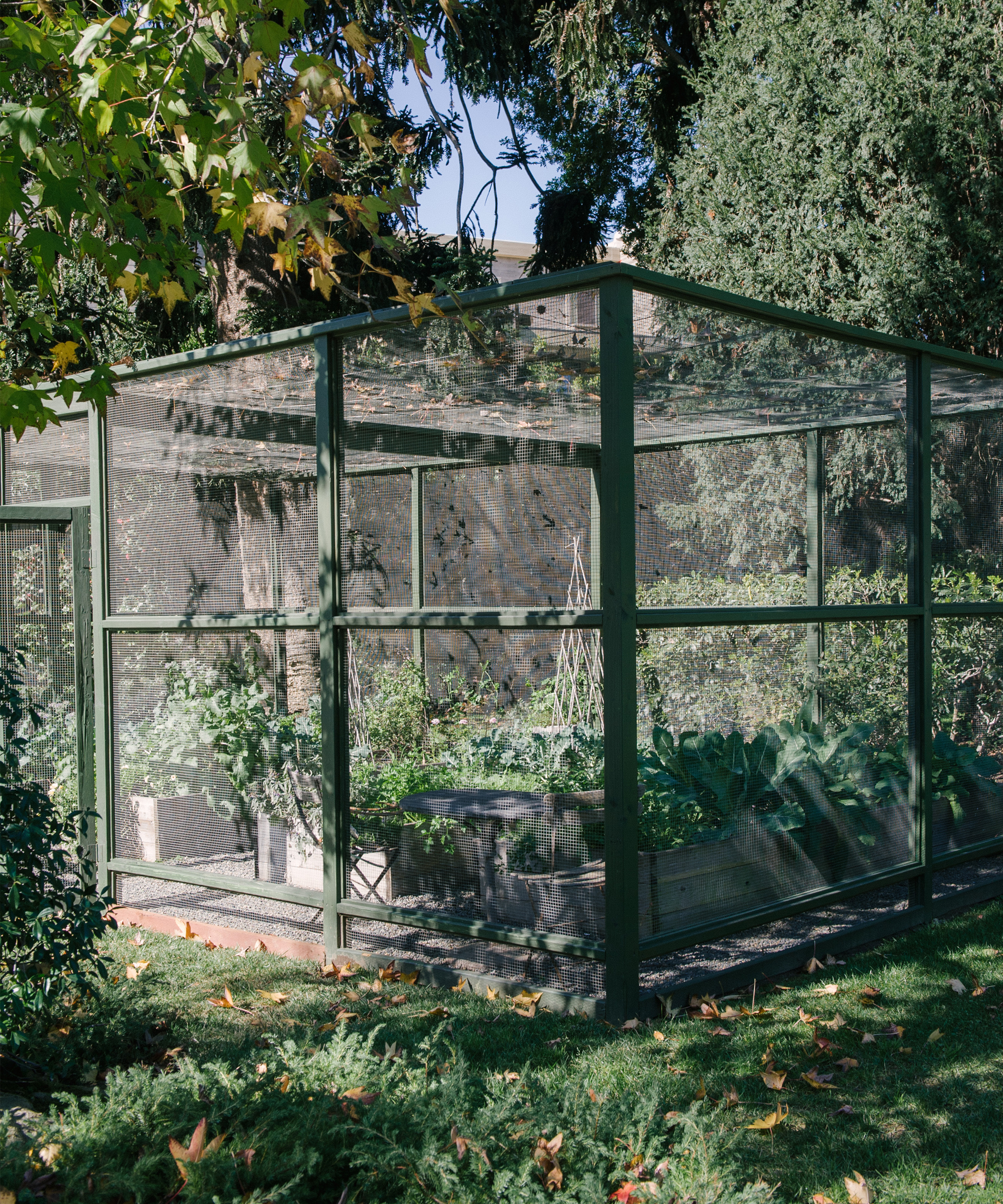 lauri-kranz-edible-gardens-jenni-kayne5