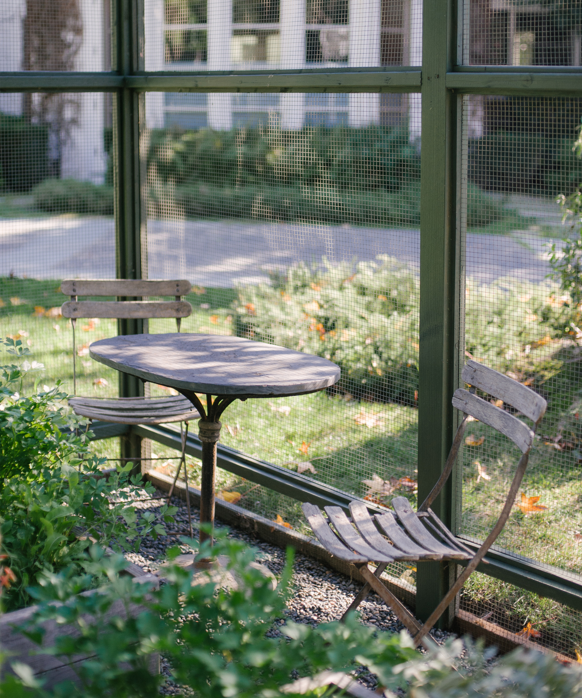 lauri-kranz-edible-gardens-jenni-kayne7
