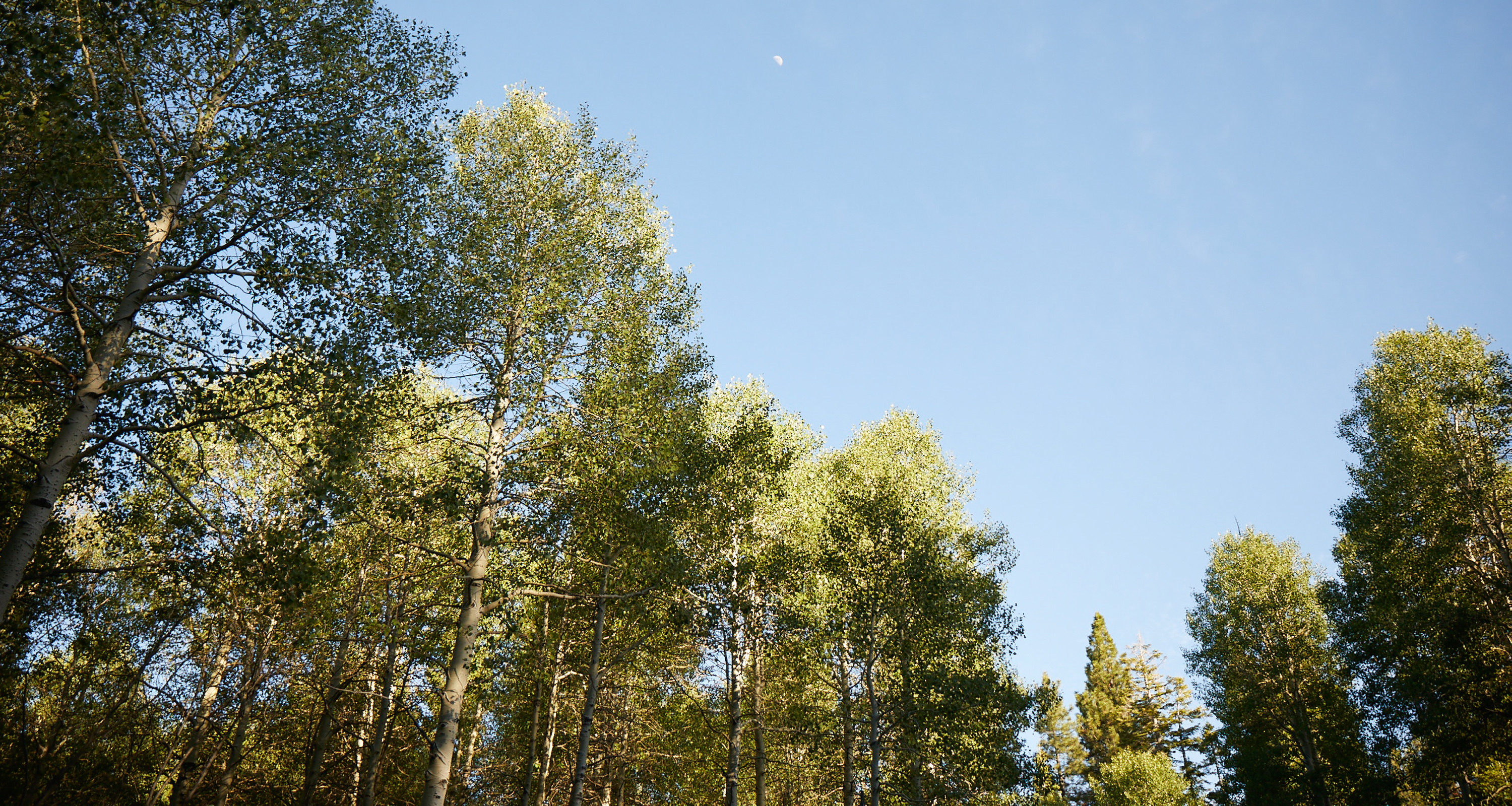 jenni-kayne-nrdc-environmental-tips6