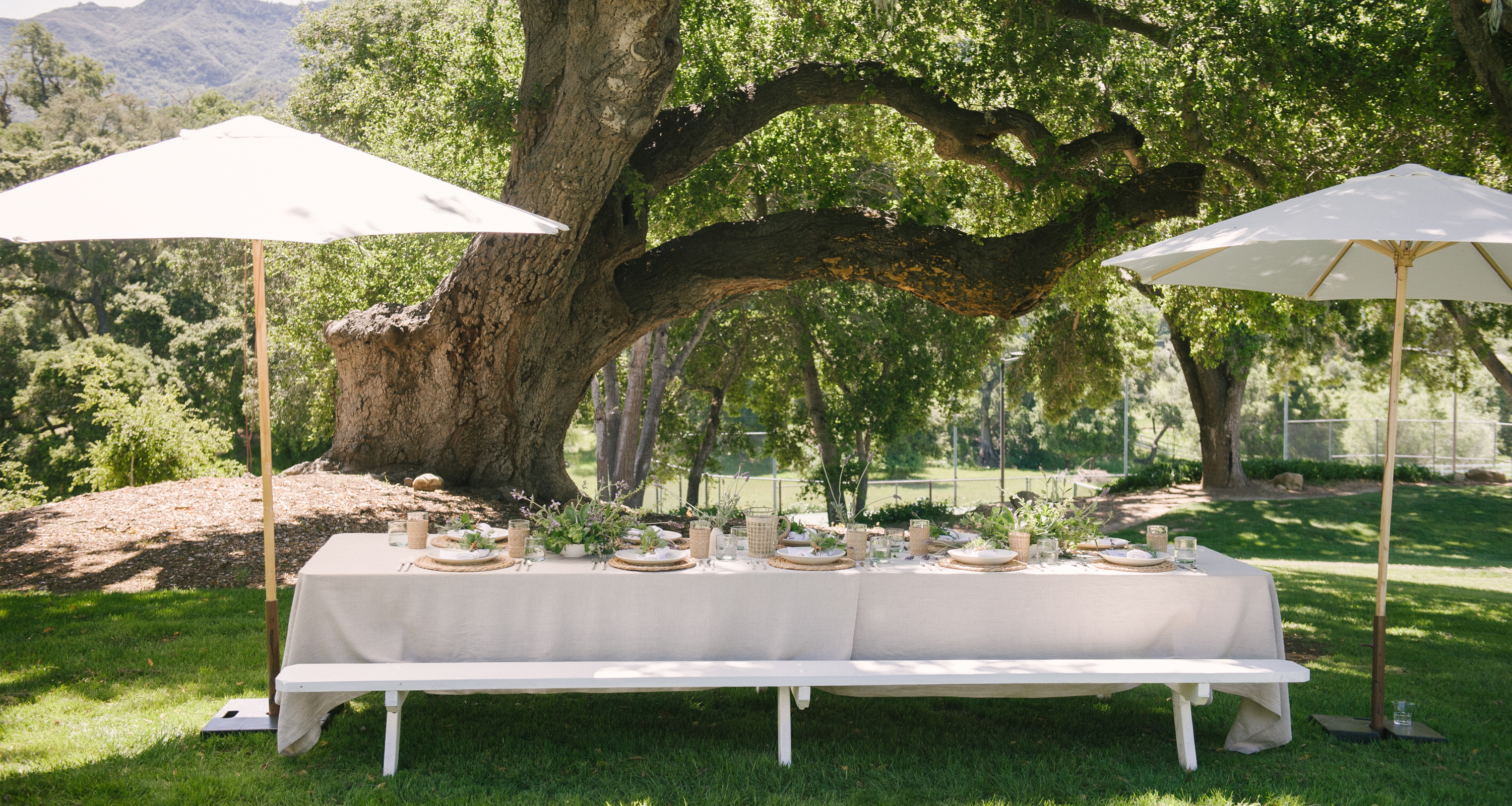 lori-stern-summer-lunch-20196
