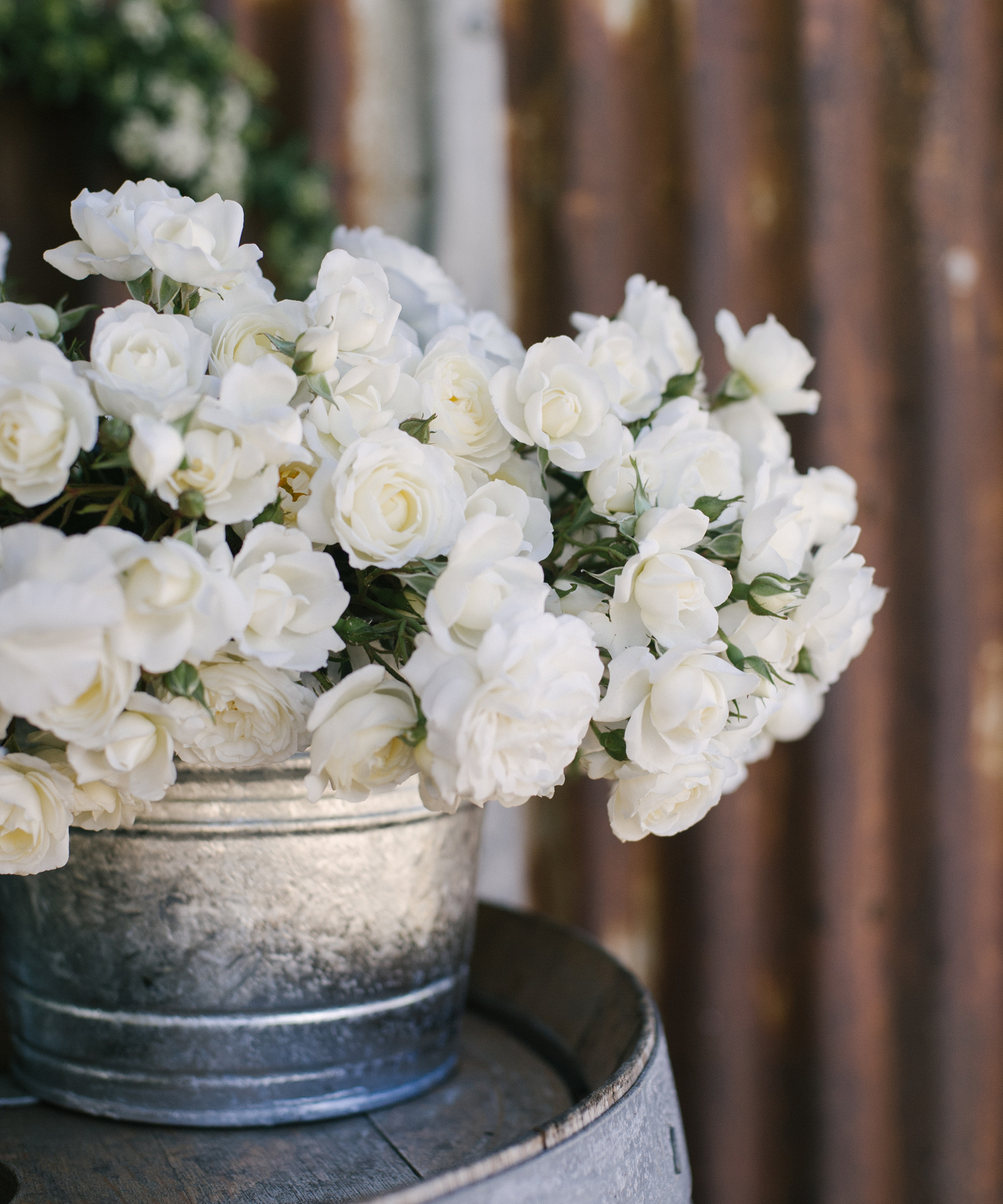 sarah-winward-summer-flower-arranging4
