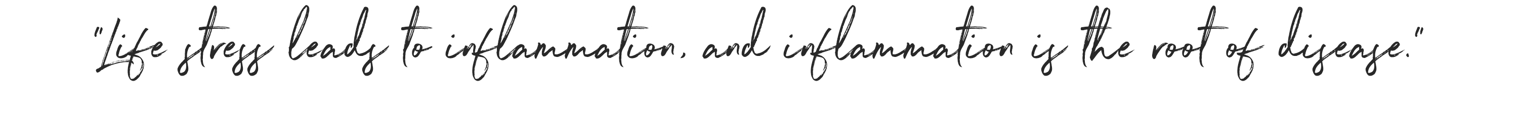 rebecca-nelken-quote