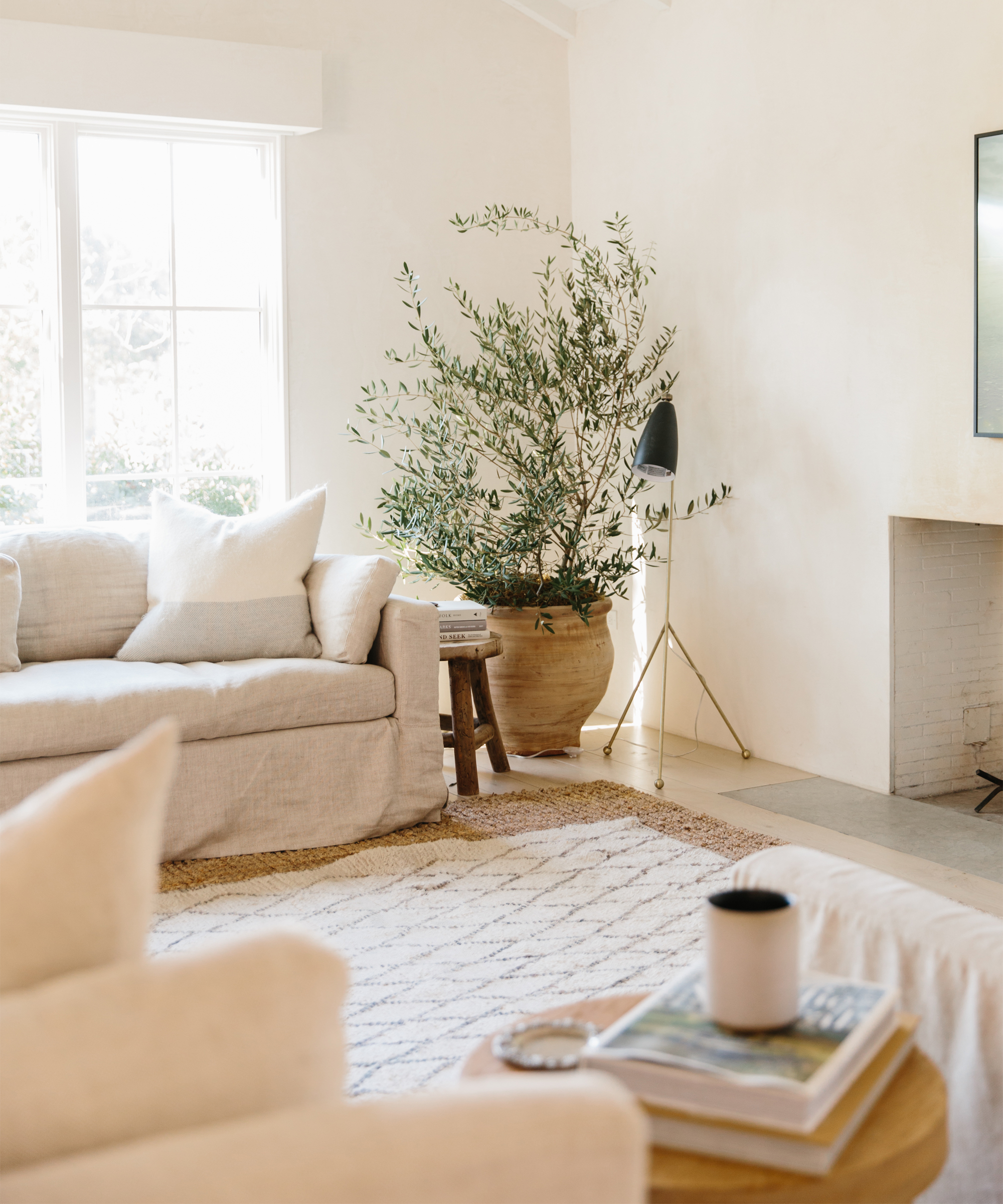 Bright, airy living room with a light sofa, large potted olive tree, cozy patterned rug, and a round wooden coffee table—inspired by Julia Hunter’s signature Jenni Kayne Home style—and natural light streaming in from a window.