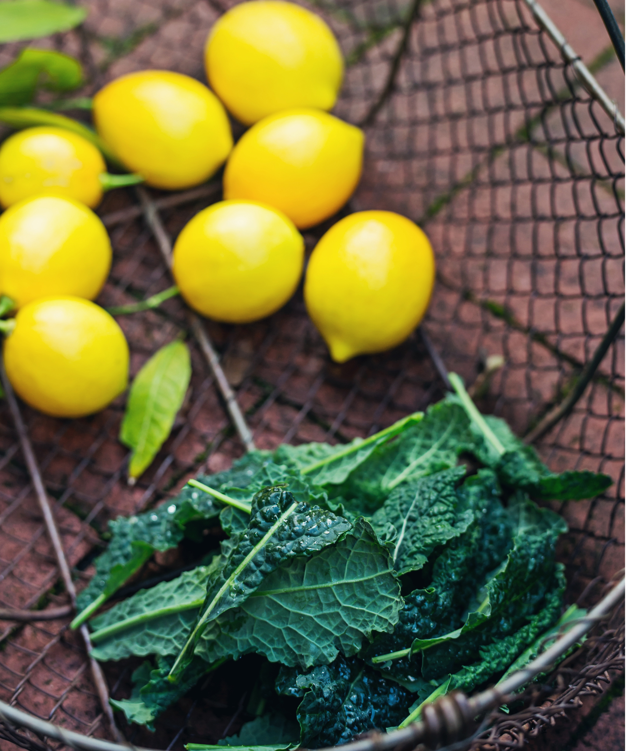 A wire basket holds bright yellow lemons with green leaves and a bunch of dark green kale on a reddish-brown surface, inspired by the Pamela Salzman Produce and Pantry Guide.