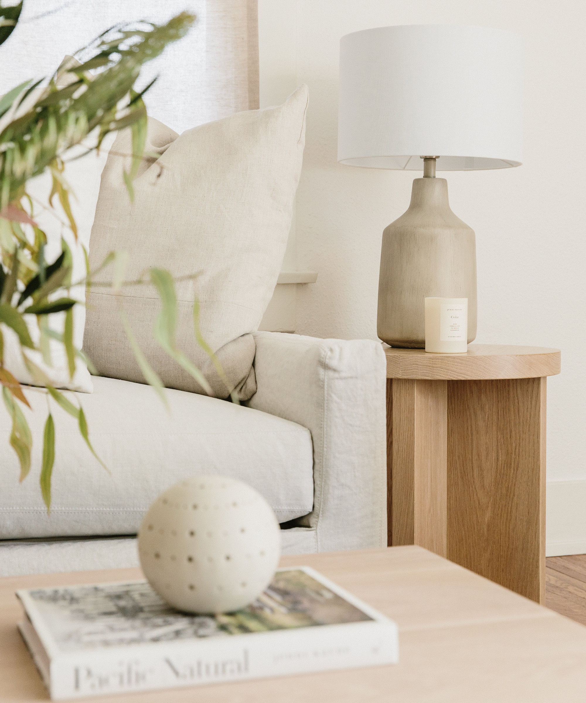Close up shot of Jenni Kayne Canyon Coffee Table with jenni kayne ceramic diffuser, pacific natural, and greenery.