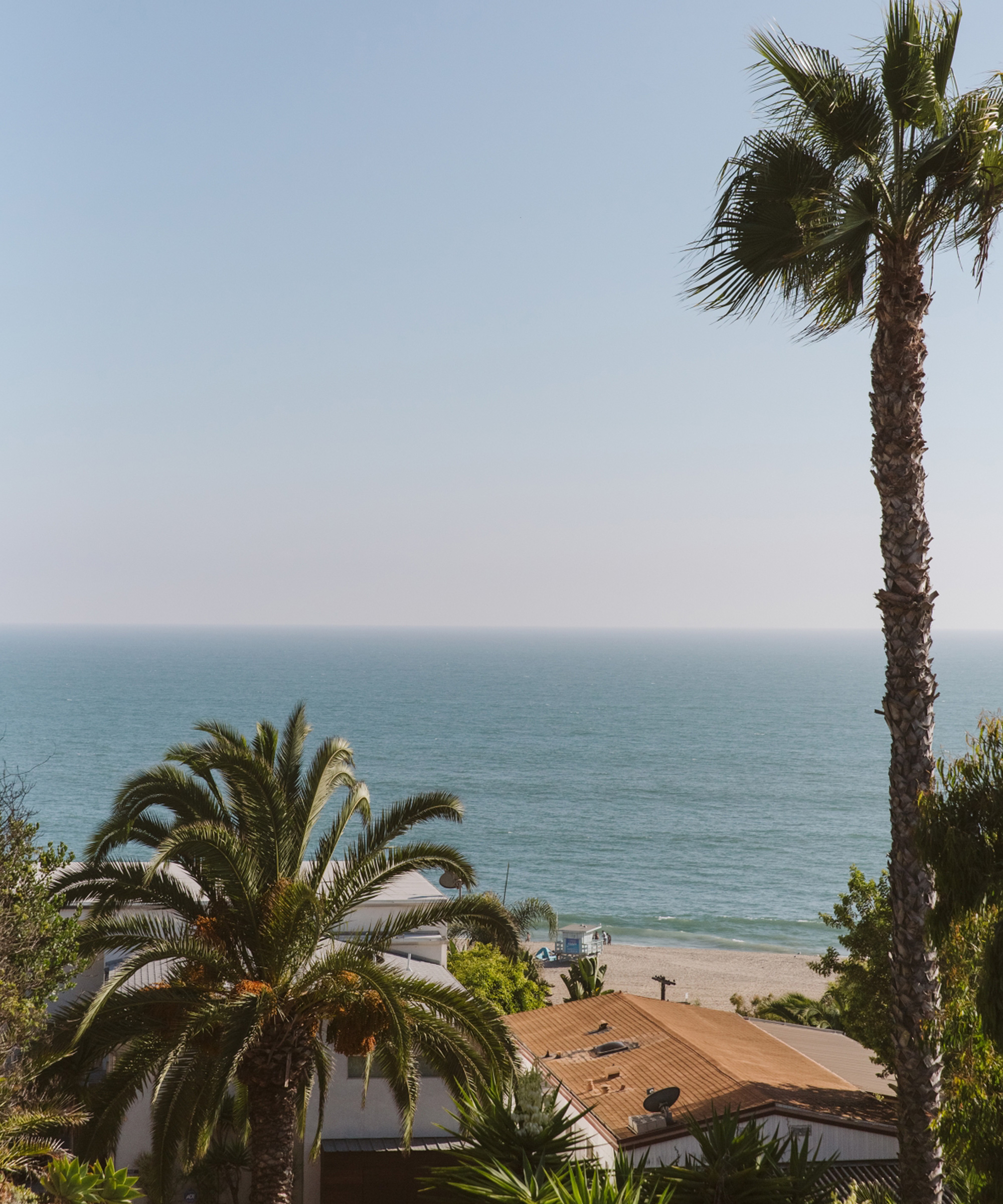 View of the ocean with gentle waves under a clear blue sky, framed by tall palm trees and greenery in the foreground, with rooftops near the shoreline—captured in true Marc Gabor style.