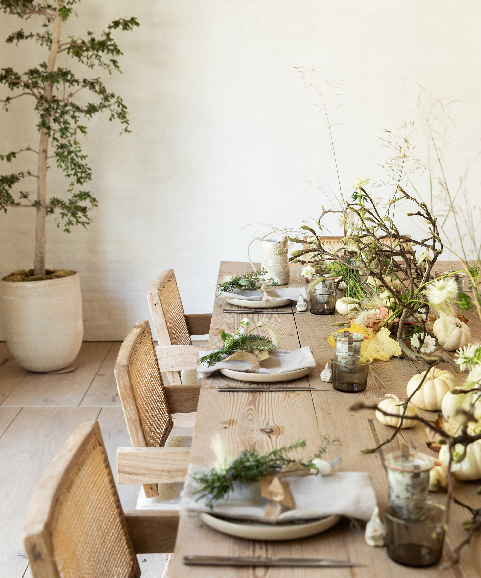 A wooden dining table set for a meal with neutral plates, glassware, and napkins, decorated with small pumpkins, greenery, and branches—perfect inspiration for thanksgiving recipe ideas. Woven chairs and a potted plant complete the bright, minimal room.