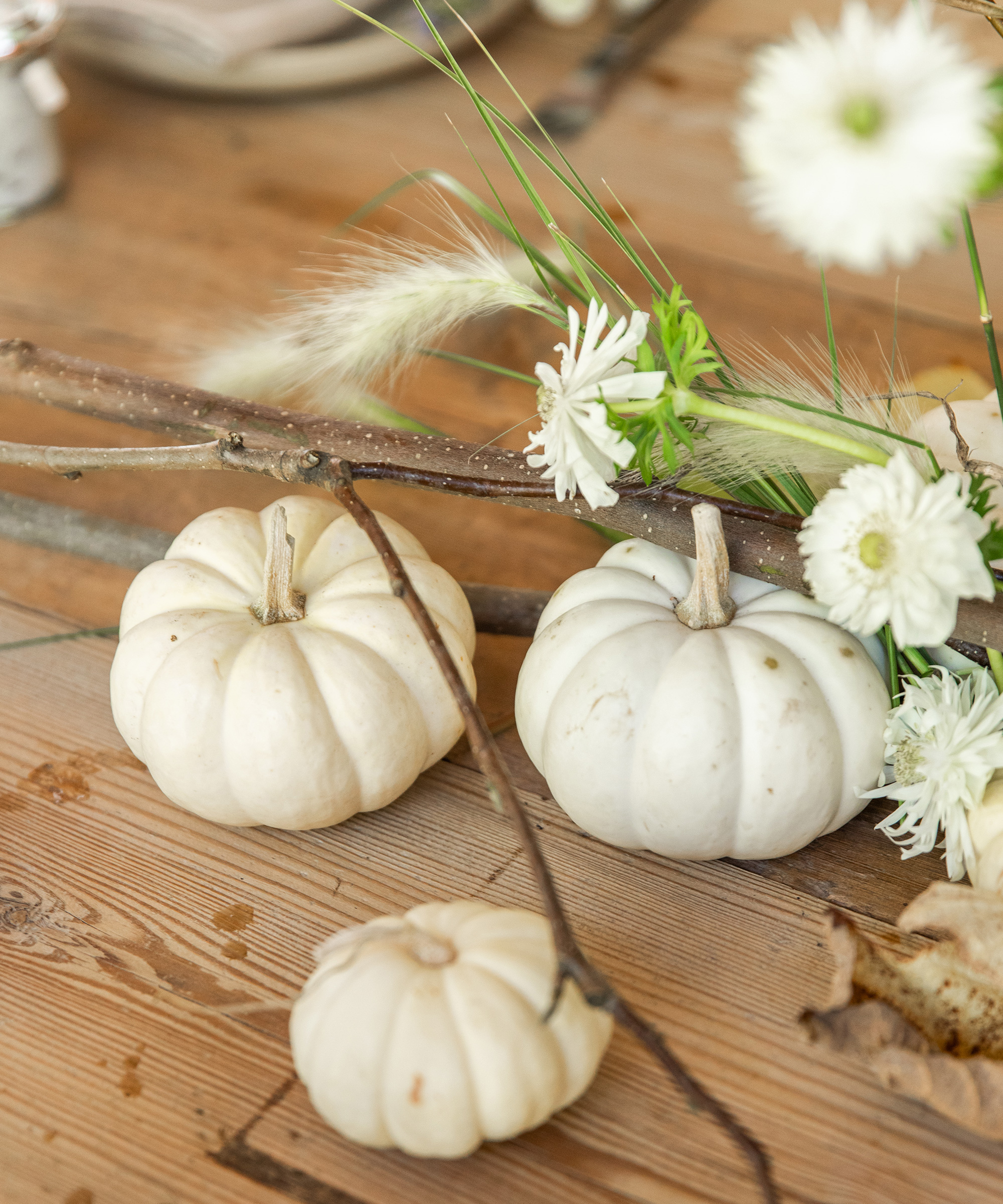 thanksgiving tablescape with mini pumpkins