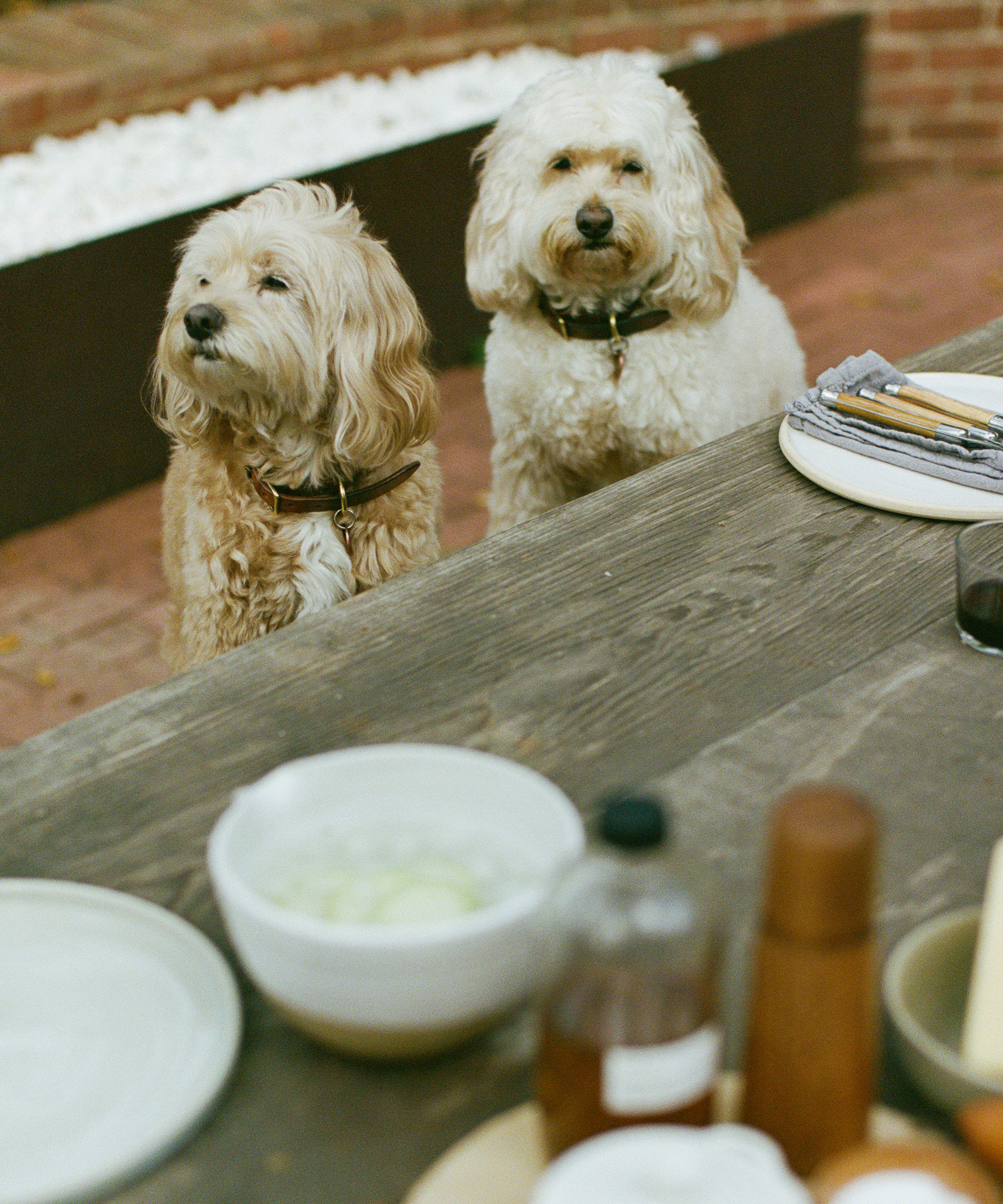 jenni-kayne-camilla-marcus-home-recipe