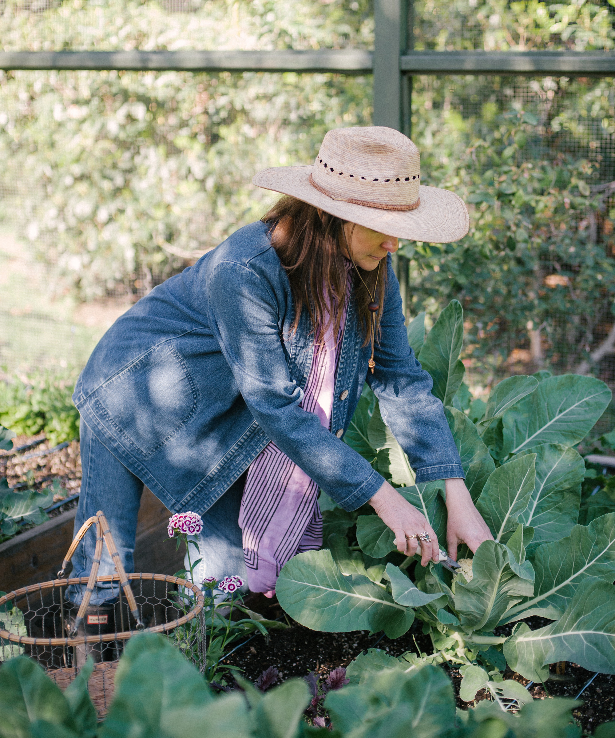 jenni-kayne-lauri-kranz-gardening