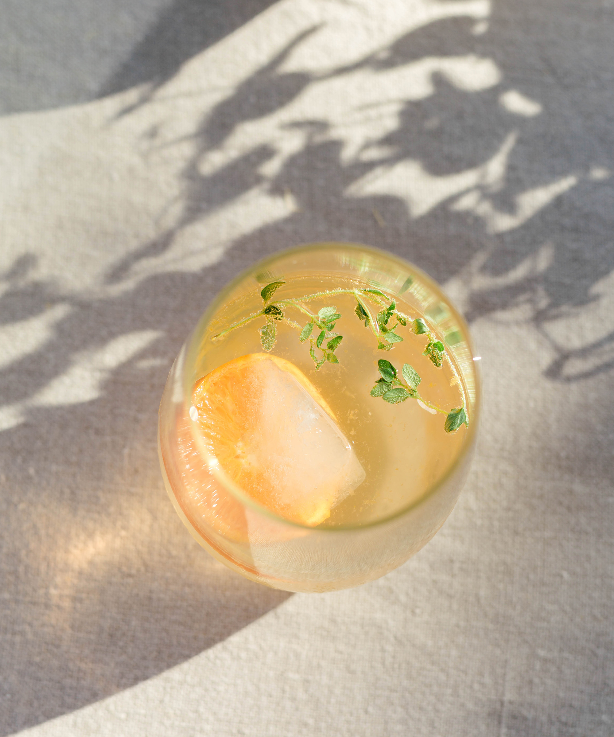 A glass of a light-colored drink with a large ice cube, a slice of grapefruit, and sprigs of fresh herbs, set on a sunlit surface with leafy shadows—perfect inspiration for refreshing summer recipes.