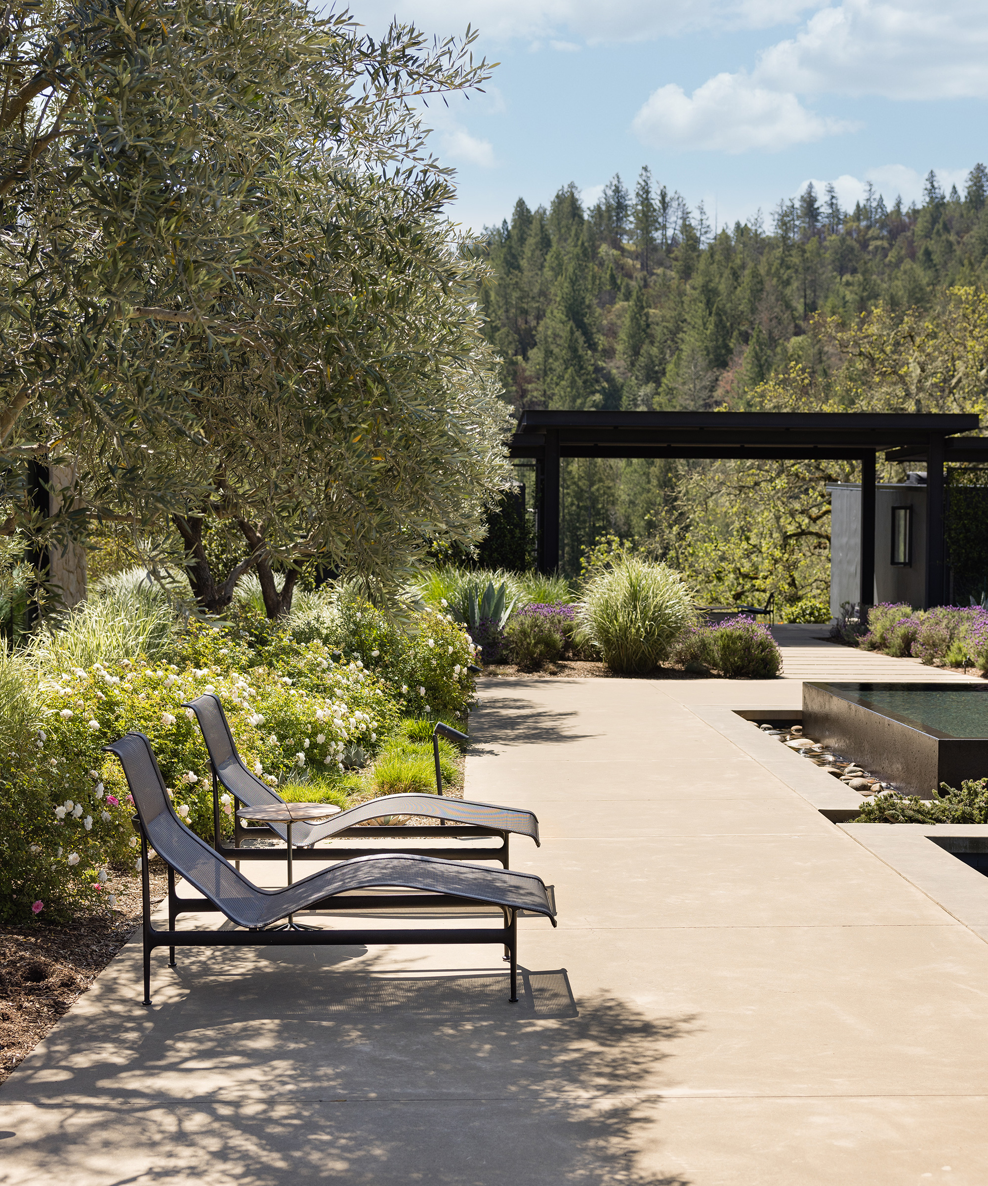 sonoma-home-tour
