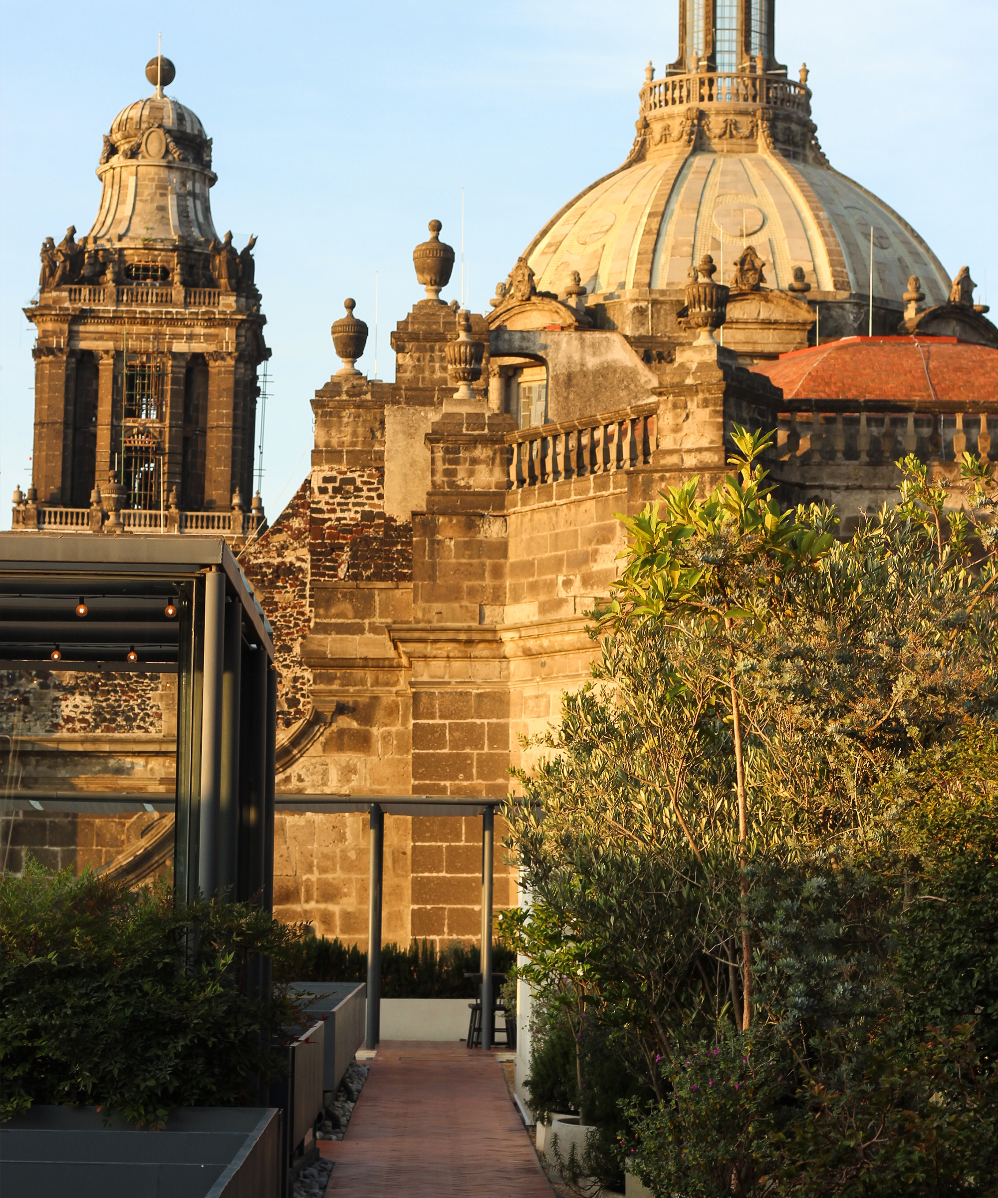 A rooftop garden with lush greenery, designed in a chic travel style, overlooks the historic stone domes and towers of Mexico City’s Metropolitan Cathedral under a clear sunset sky.