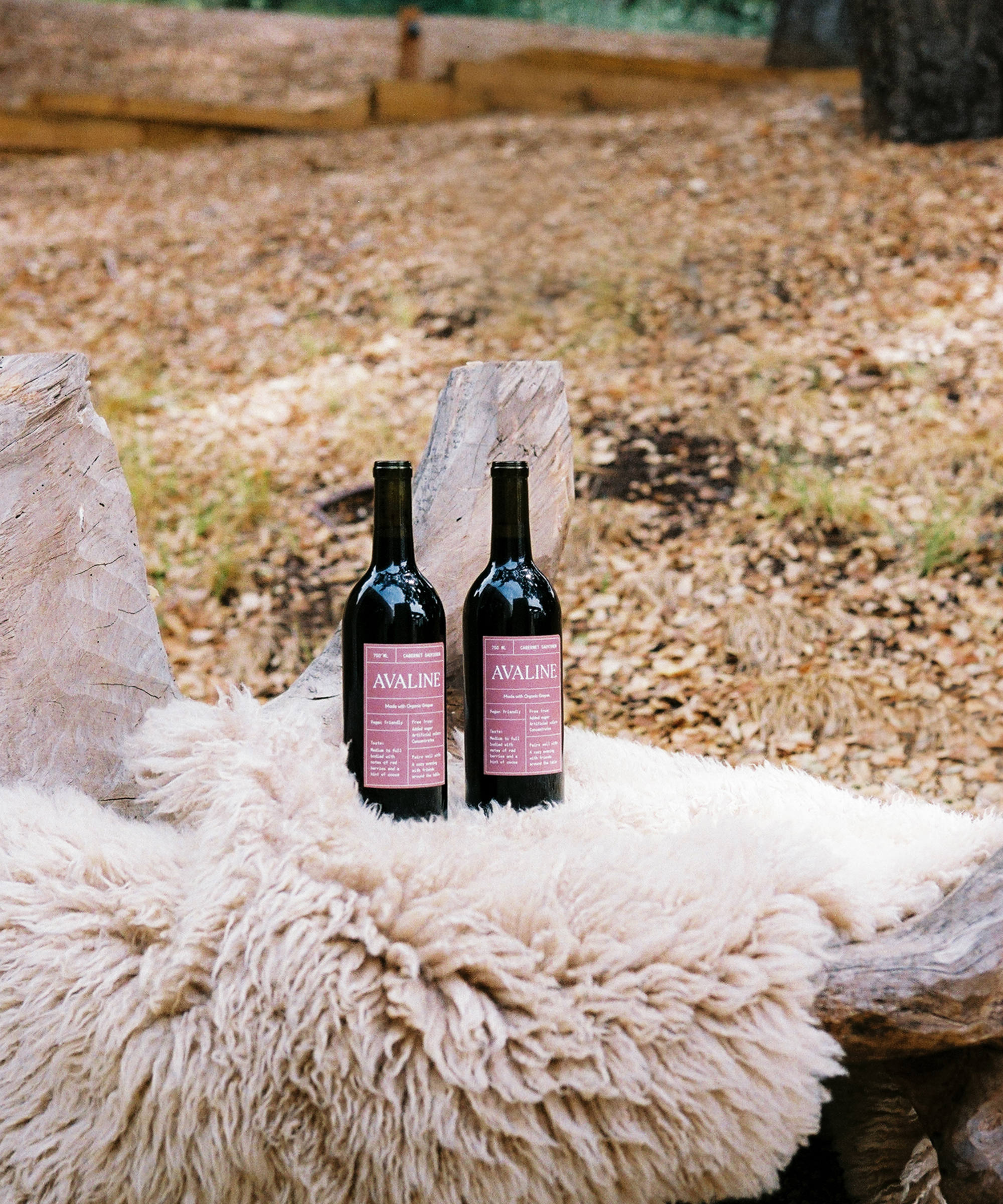 Two bottles of Avaline red wine sit side by side on a furry cream-colored blanket draped over a rustic wooden bench outdoors, showcasing Avaline’s elegance amid fallen leaves and wooden borders in the background.