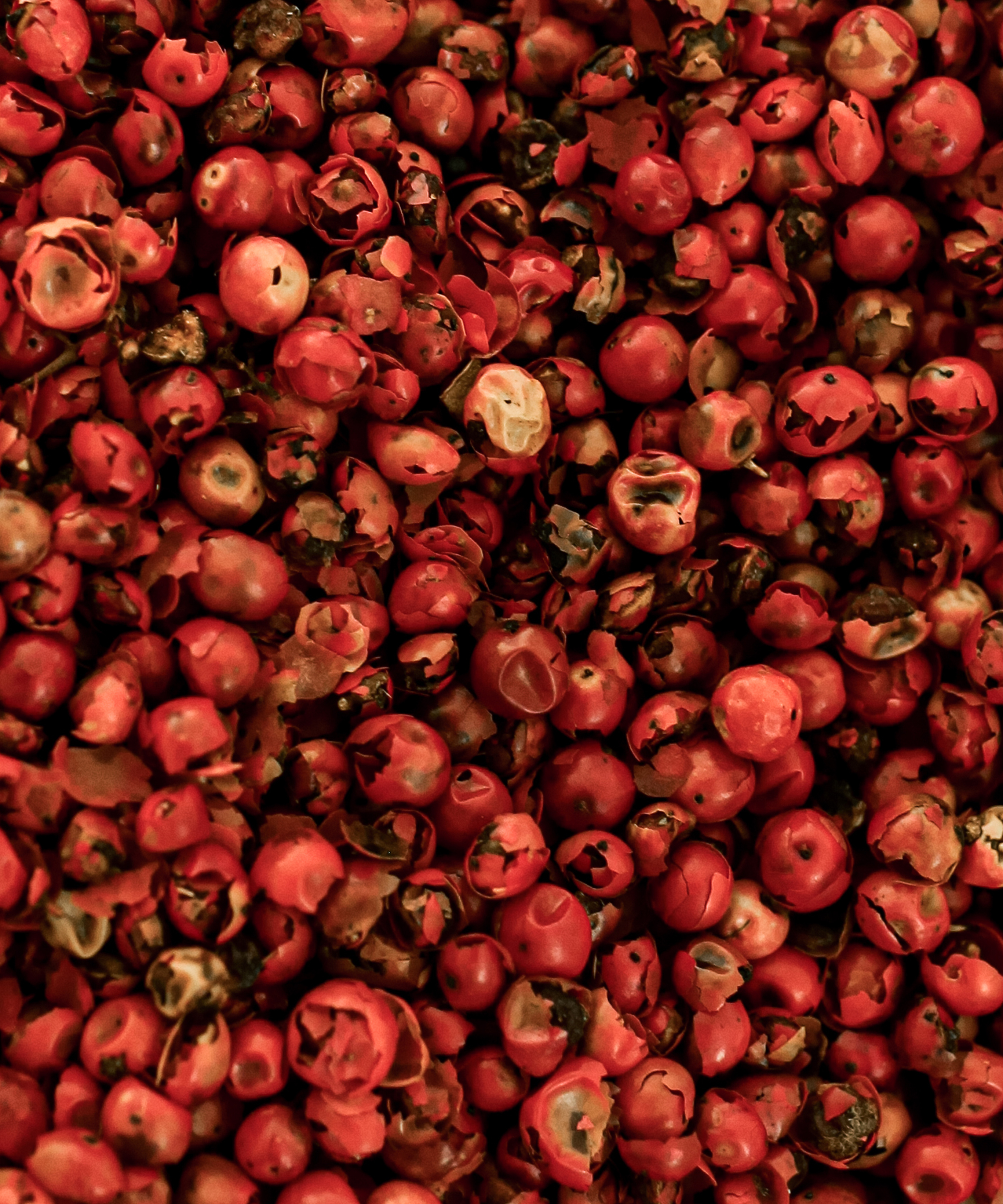 jenni-kayne-holiday-recipes-cranberries