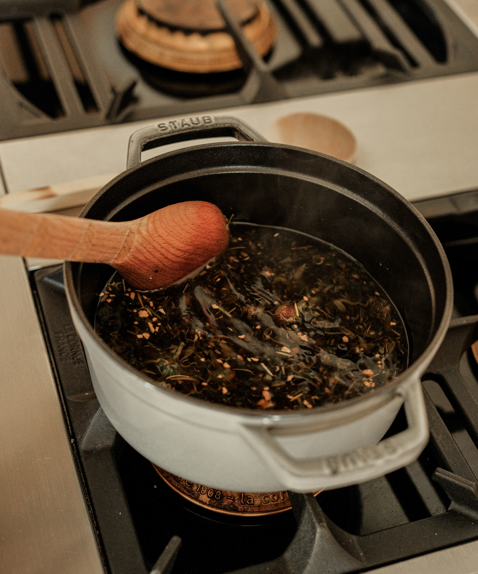 image of moon canyon making immunity broth in staub pot