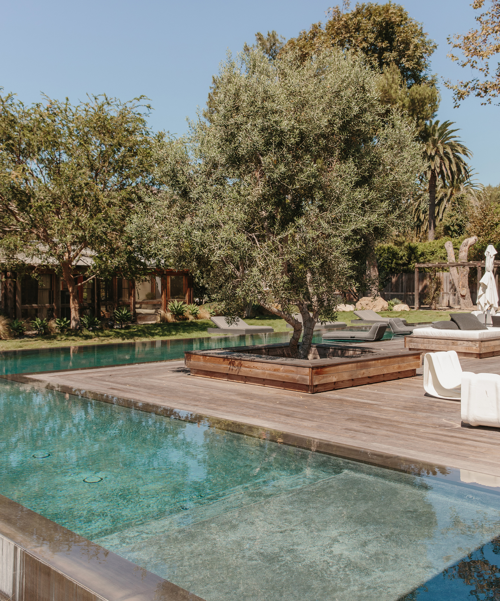 top-home-tours-jenni-kayne-home-susie-chambers-pool-backyard