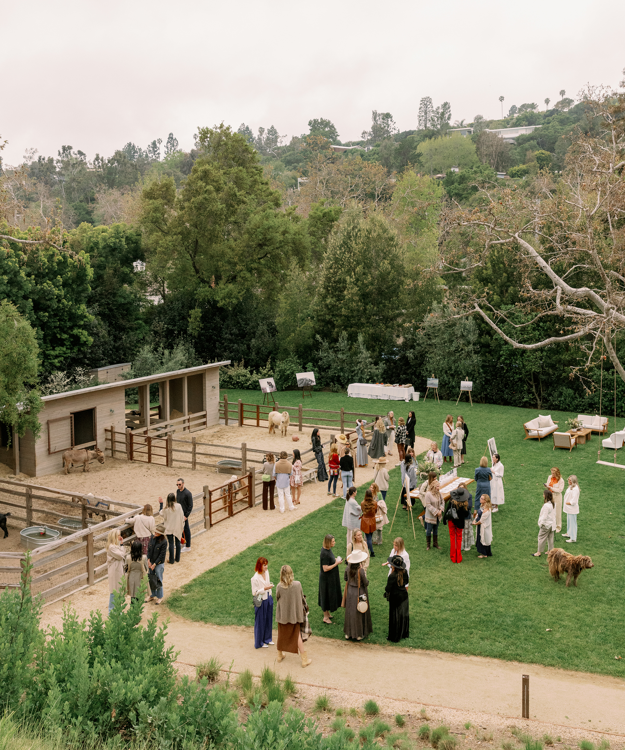 view of the backyard with many people standing and chatting next to a barn