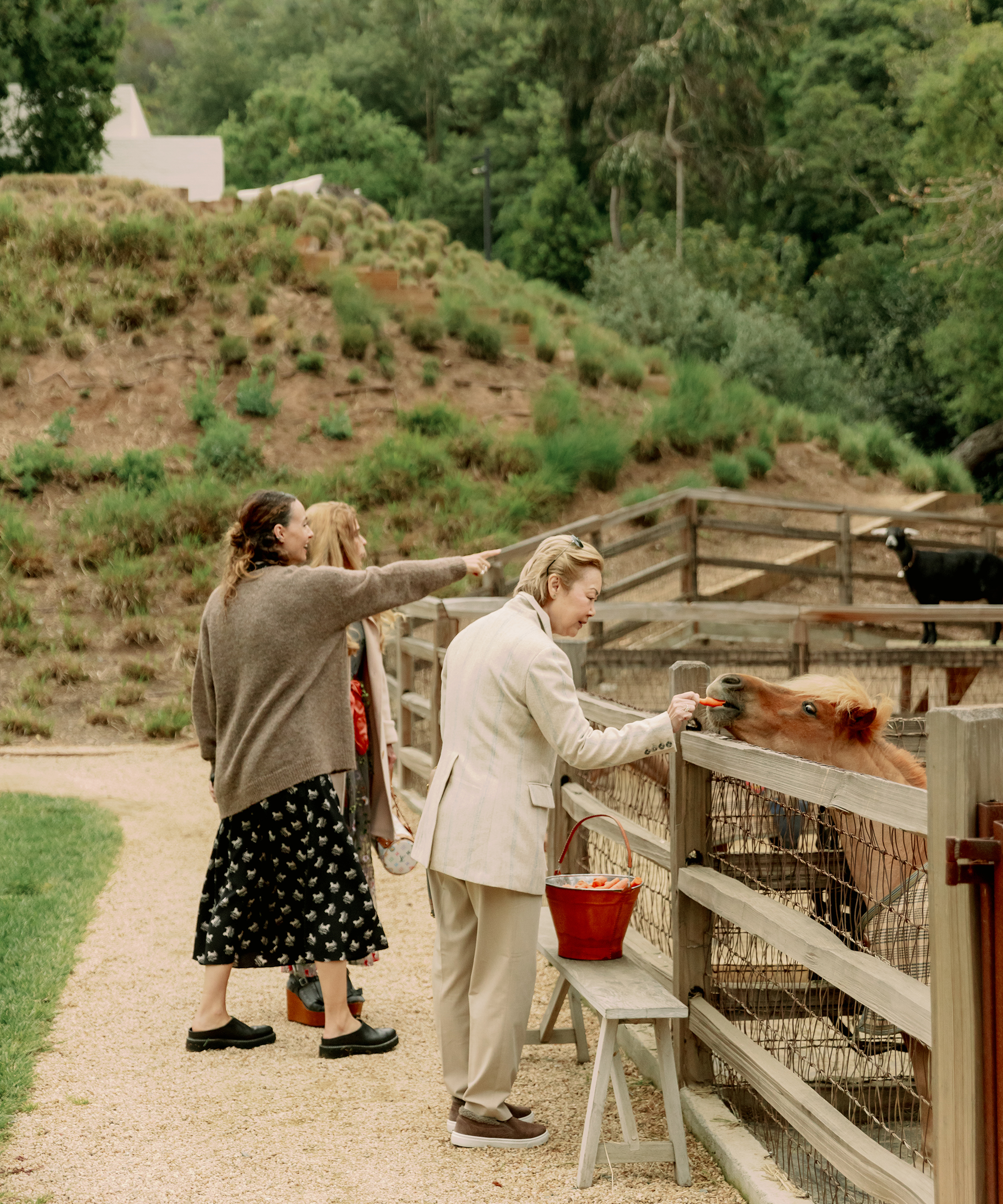 jenni feeding horses at a barn fence next to a woman