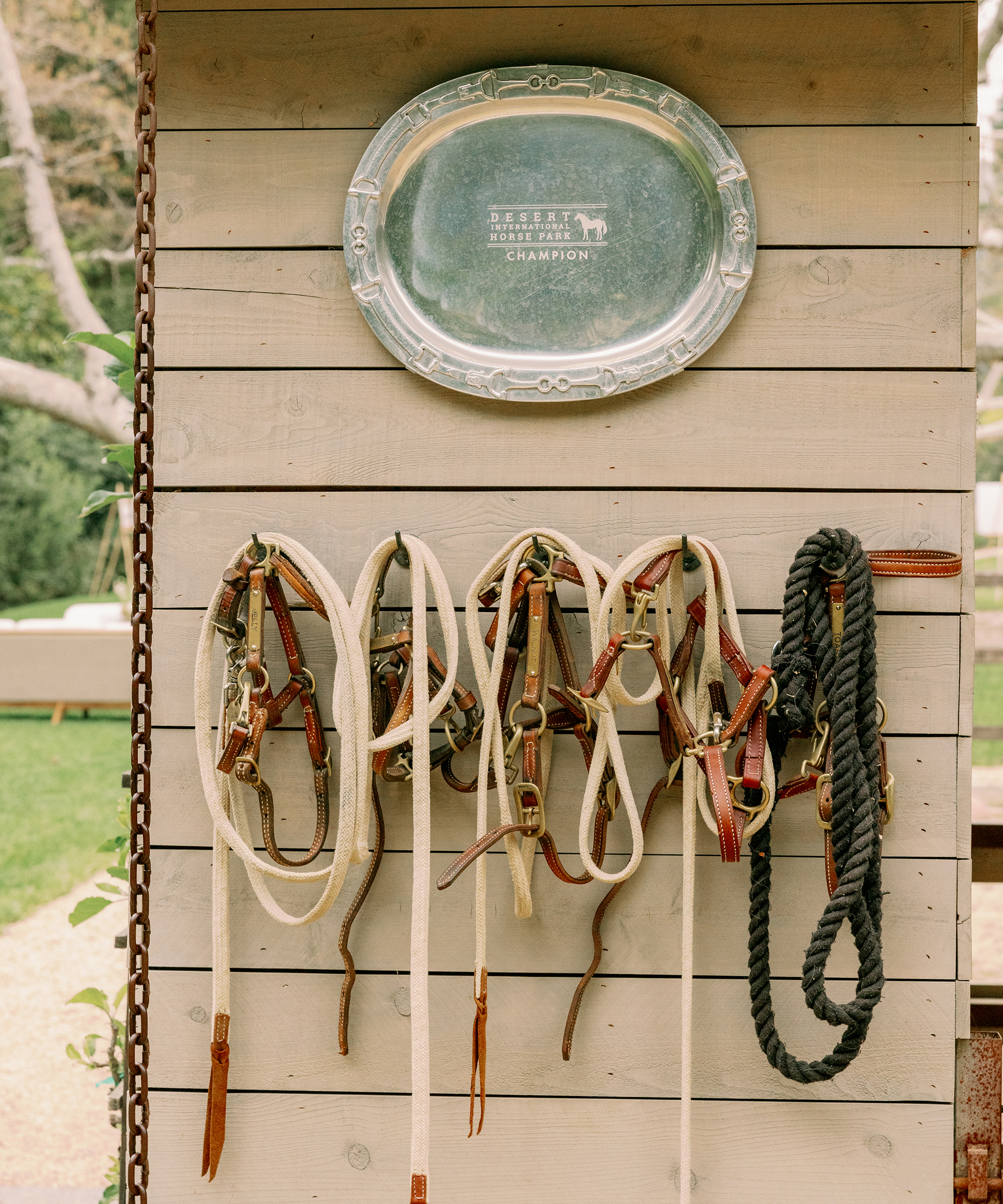 horse harnesses hanging on a barn wall