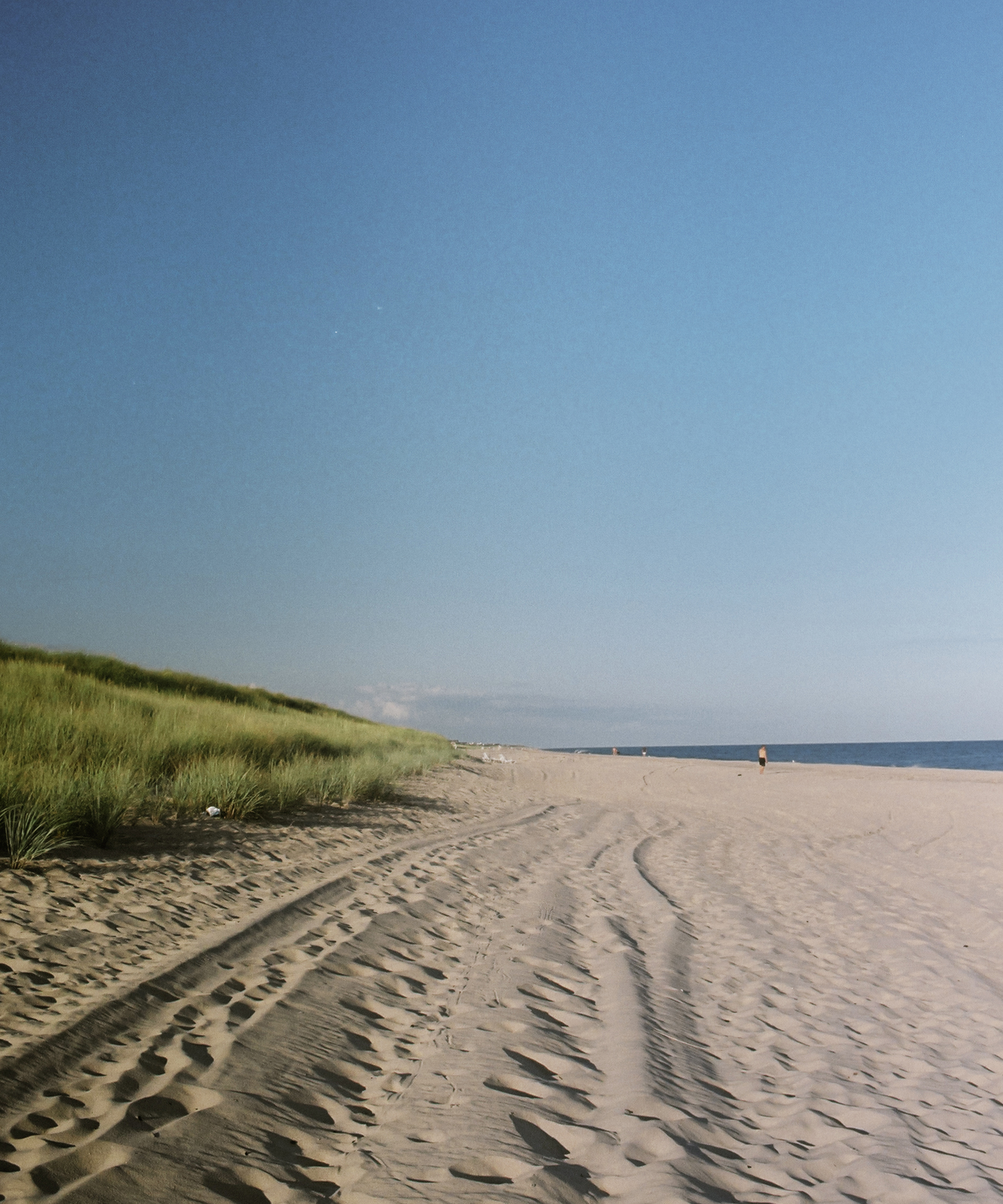 ask-an-herbalist-hamptons-beach-sand