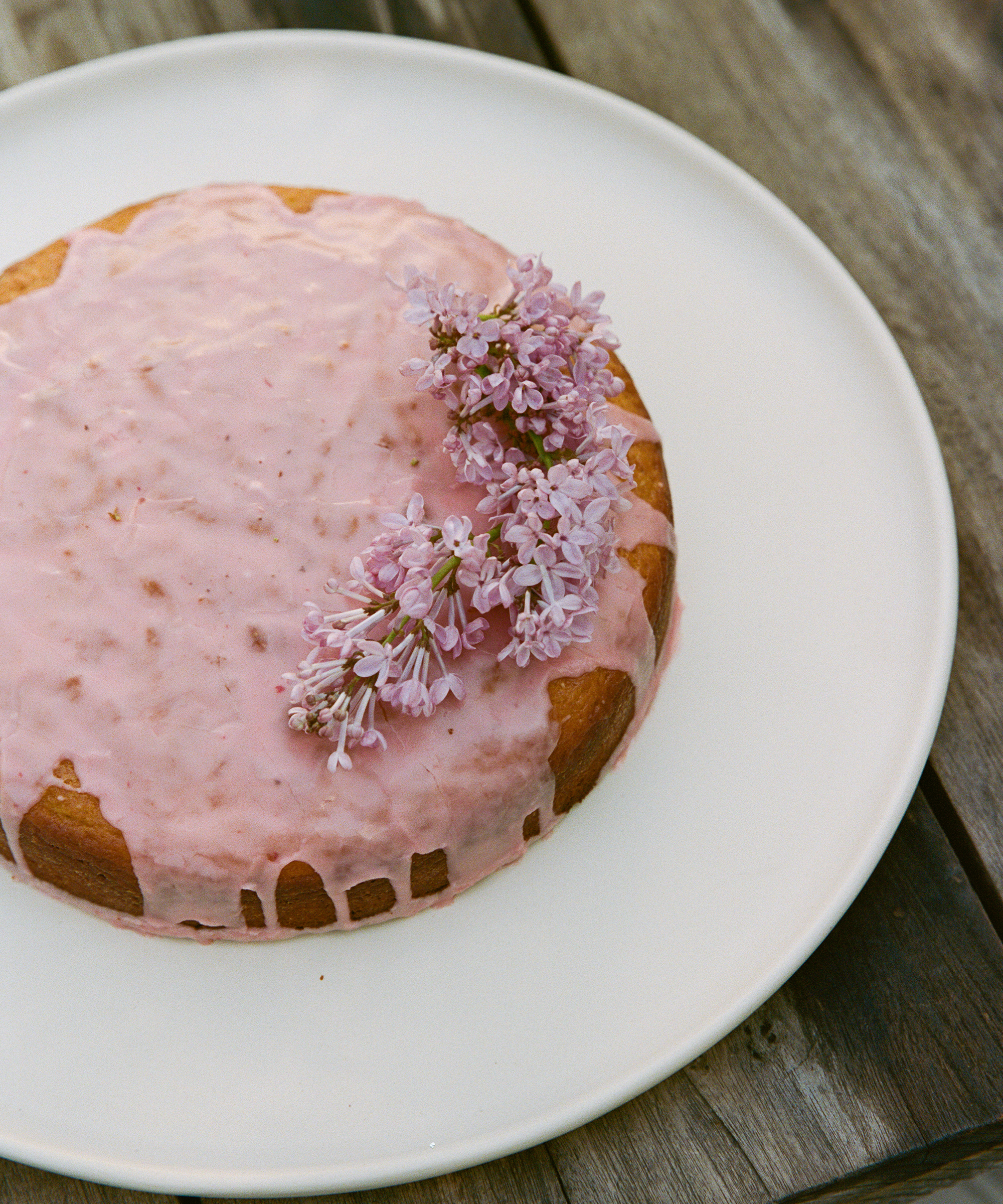 CITRUS CARDAMOM CAKE with a purple glaze on an ivory serving platter