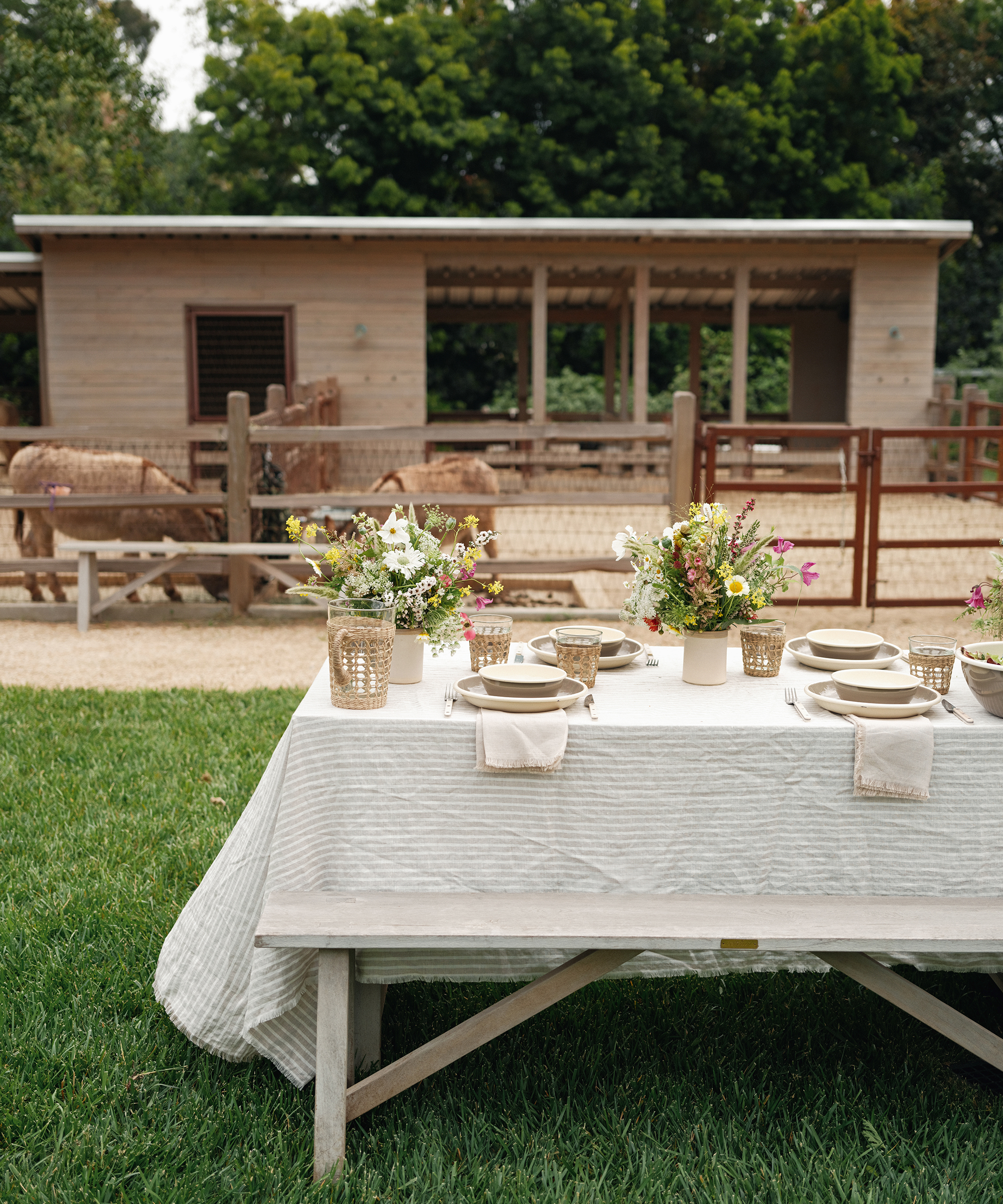 outdoor picnic table in front of a barn with a striped linen table cloth colorful floral arrangements and taupe plates