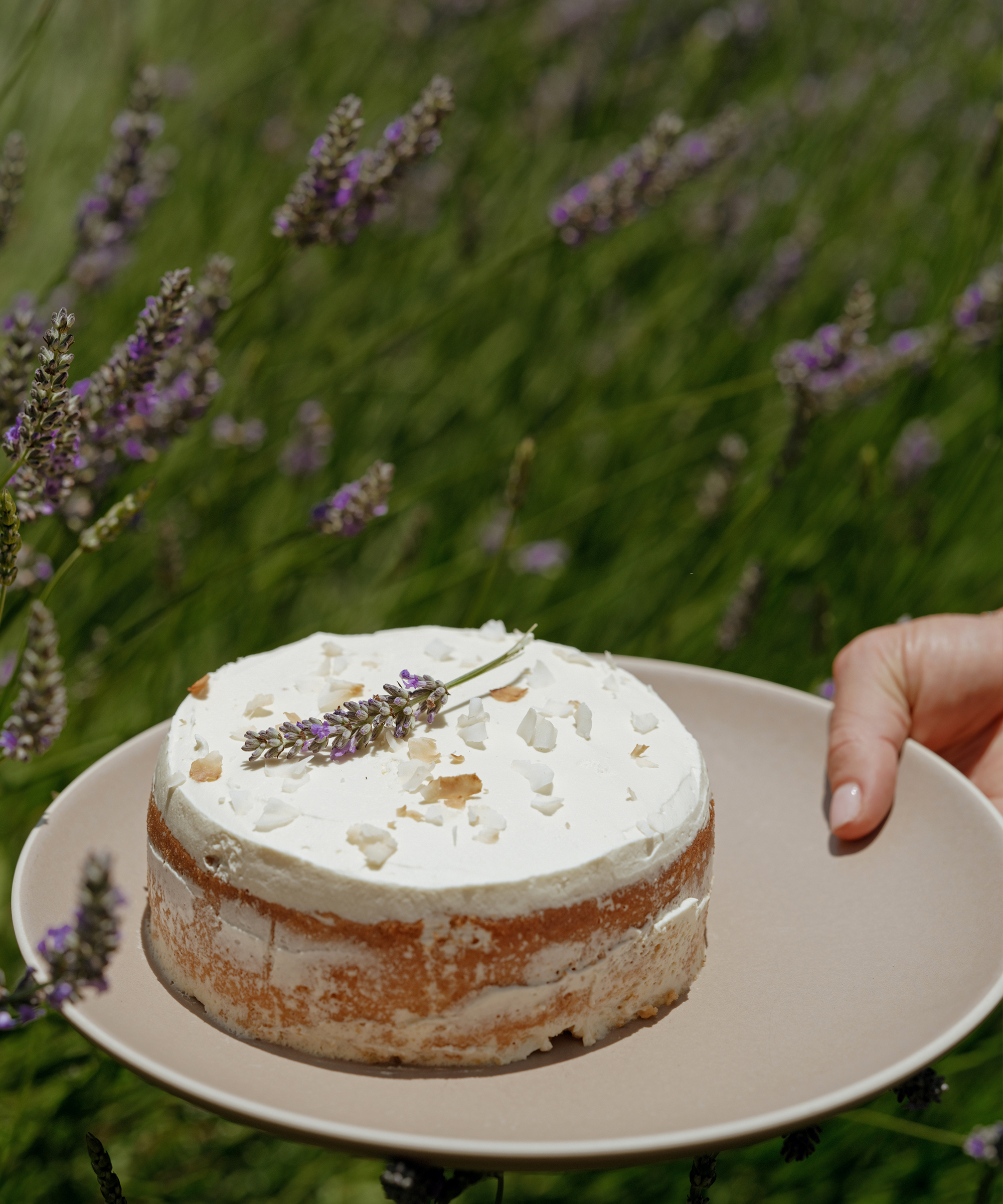 cucina-melissa-summer-cake-cocktail-tres-leche-cake-lavendar