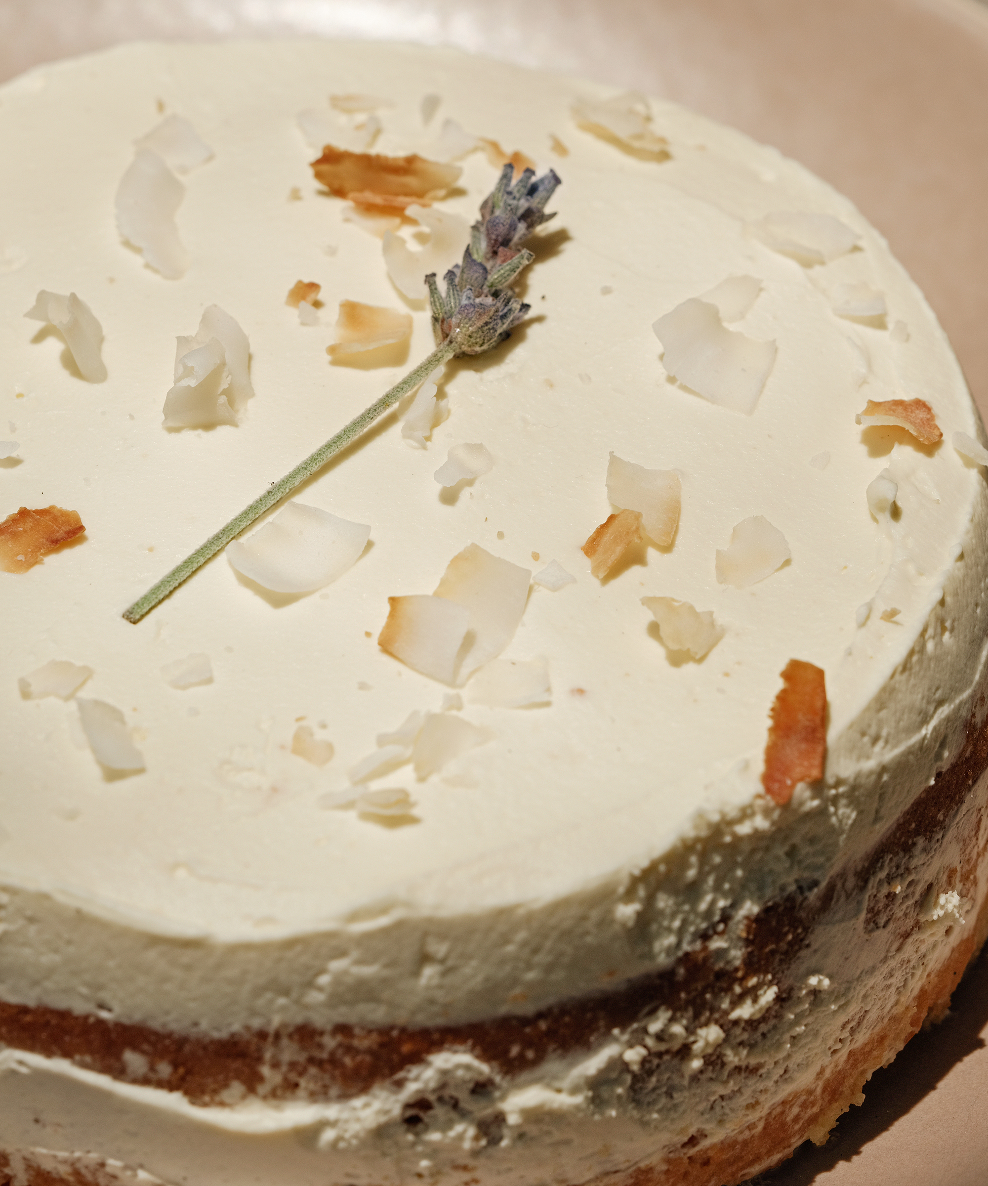 cucina-melissa-summer-cake-cocktails-tres-leches-cake-details