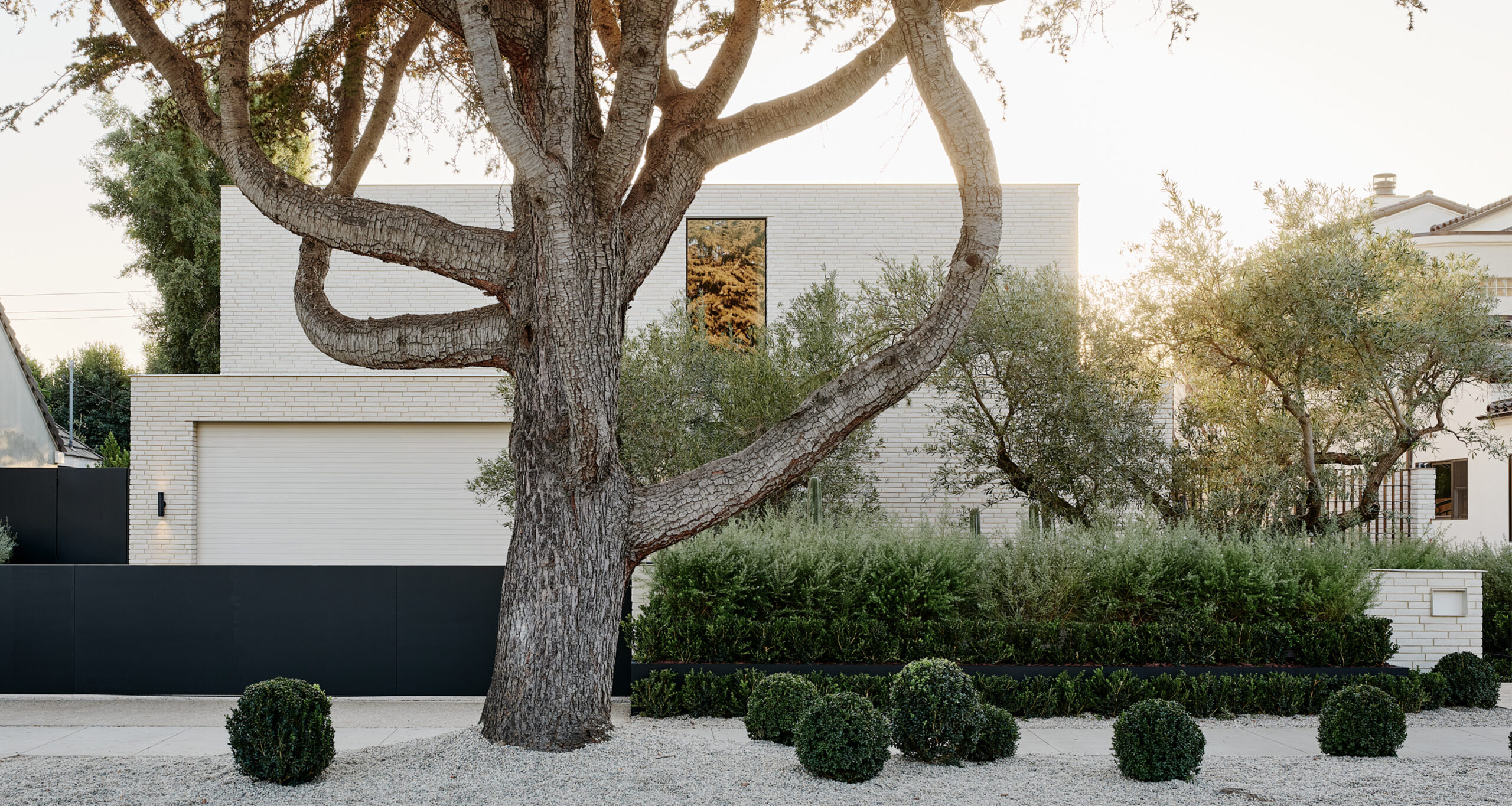 woods-dangaran-home-tour-white-brick-home-large-tree