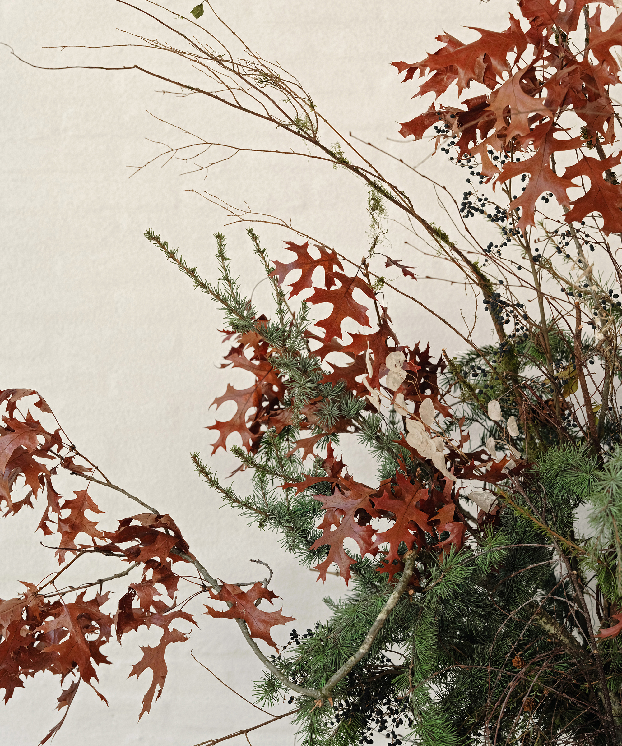 A bouquet featuring reddish-brown oak leaves, sprigs of evergreen pine, thin bare branches, and small dark berries against a light, textured background—perfect for holiday decorating.