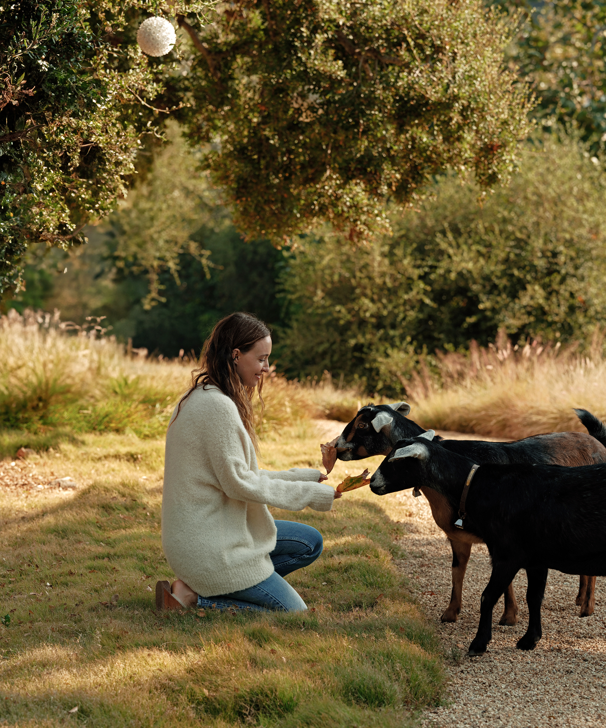 jenni in an ivory boucle sweater kneeling in the grass feeding a goat with a leaf outside in the grass