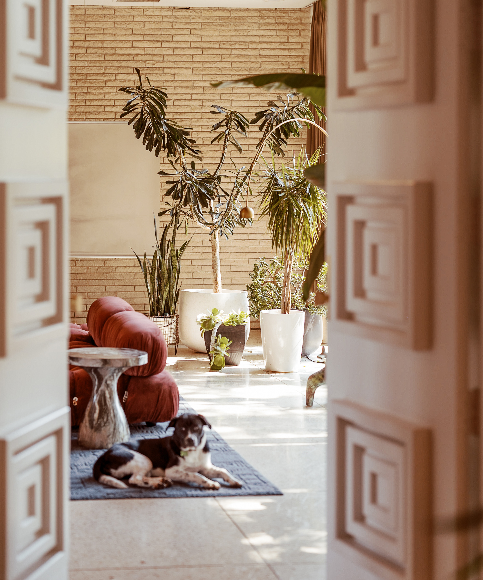 alex-snodgrass-home-tour-doorway-plants